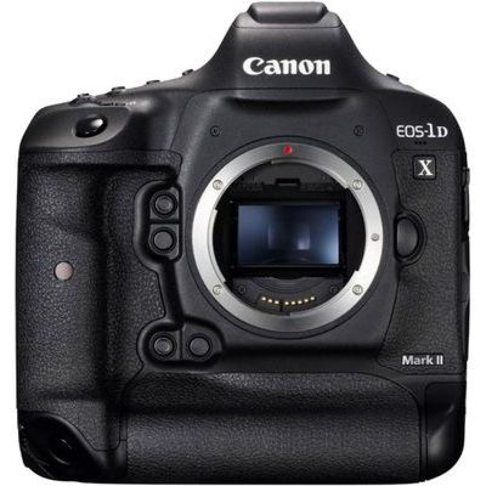 Canon 1DX MKII - Photo 1 sur 5