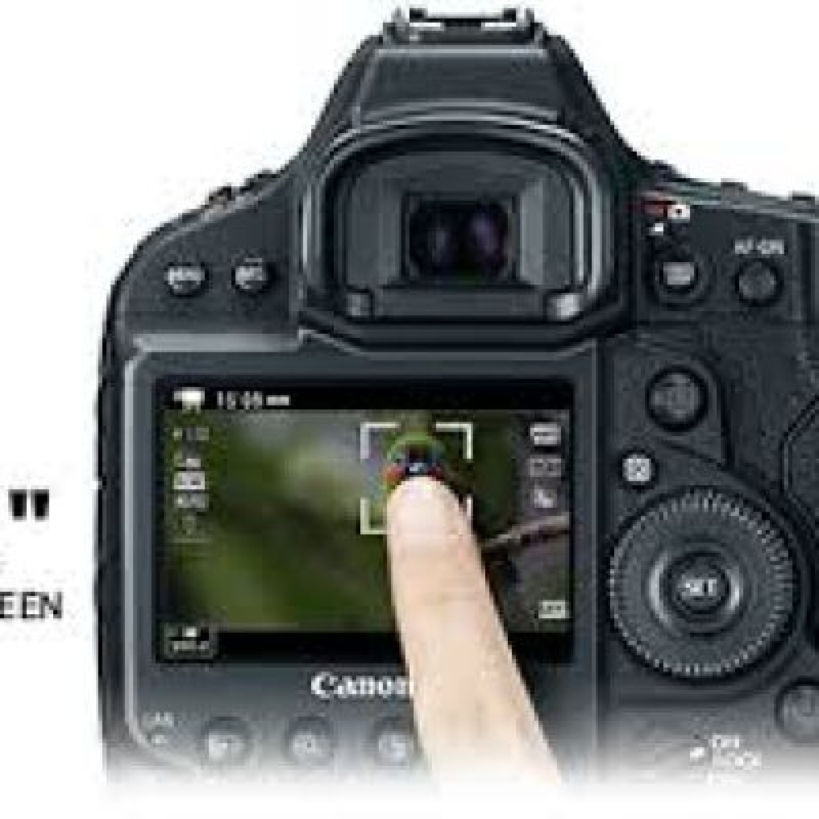 Canon 1DX MKII - Photo 4 sur 5