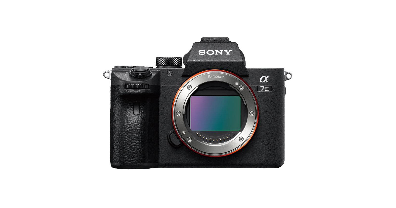 Sony Alpha 7 III - 2 OBJECTIFS : 50mm 1.8 / 24-105 4.0 - Photo 1 sur 3