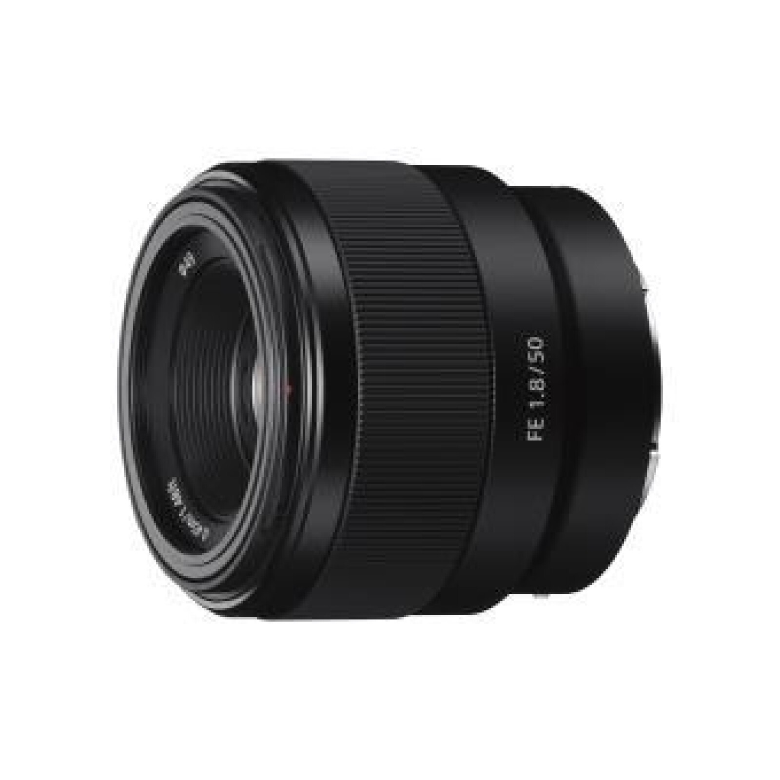 Sony Alpha 7 III - 2 OBJECTIFS : 50mm 1.8 / 24-105 4.0 - Photo 3 sur 3