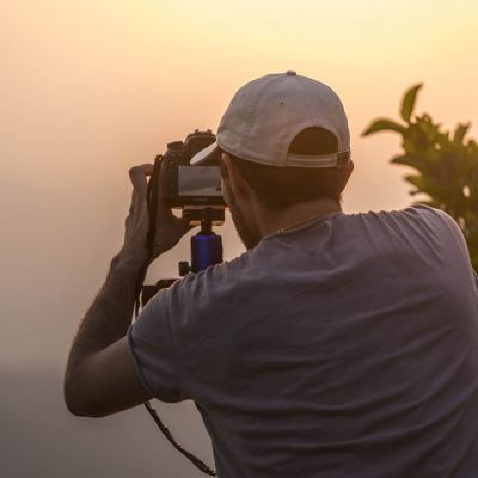 Nikon AF-S Nikkor 70-200mm f/4G ED VR - Photo 5 sur 5