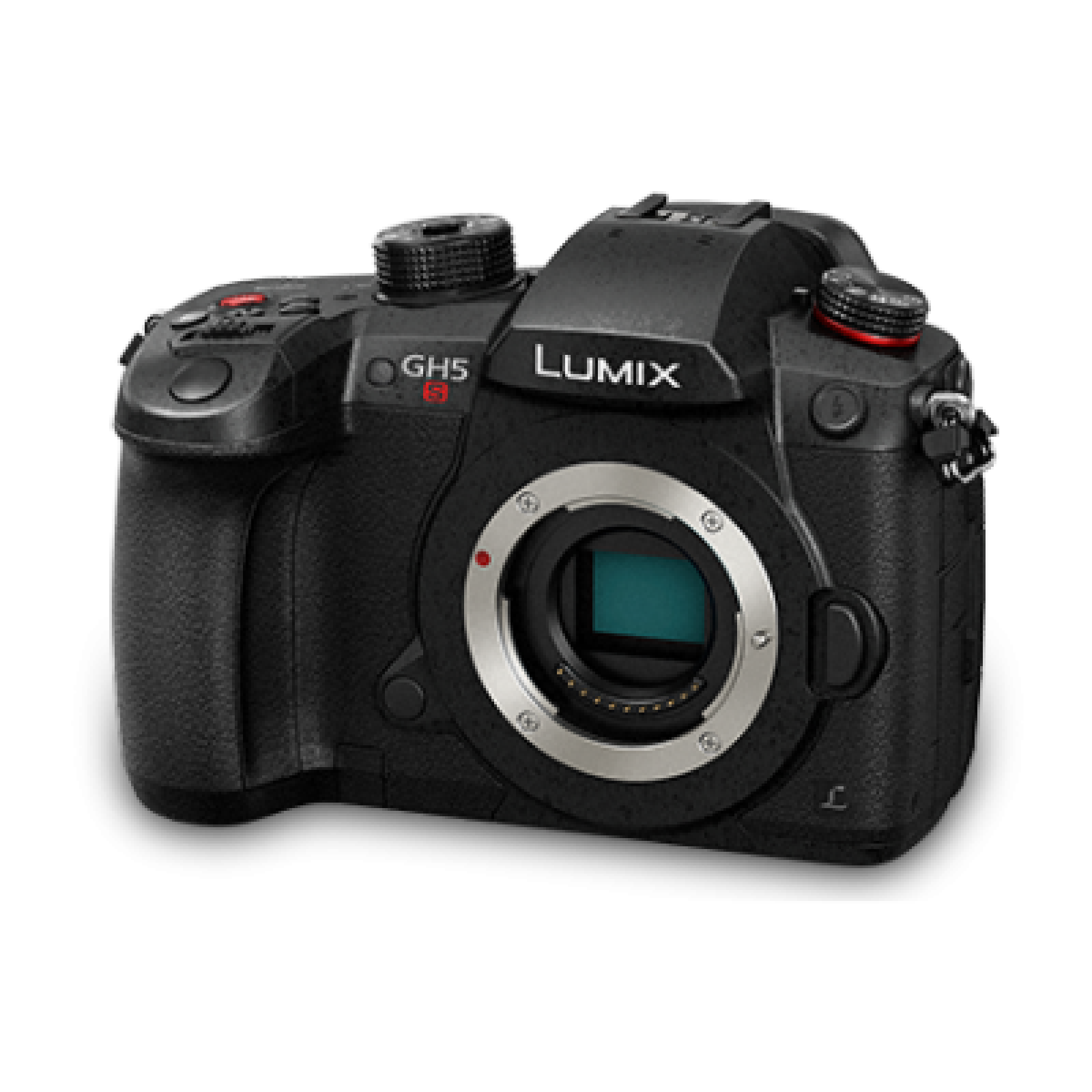 DSLR Panasonic Lumix GH5s - Photo 1 sur 1
