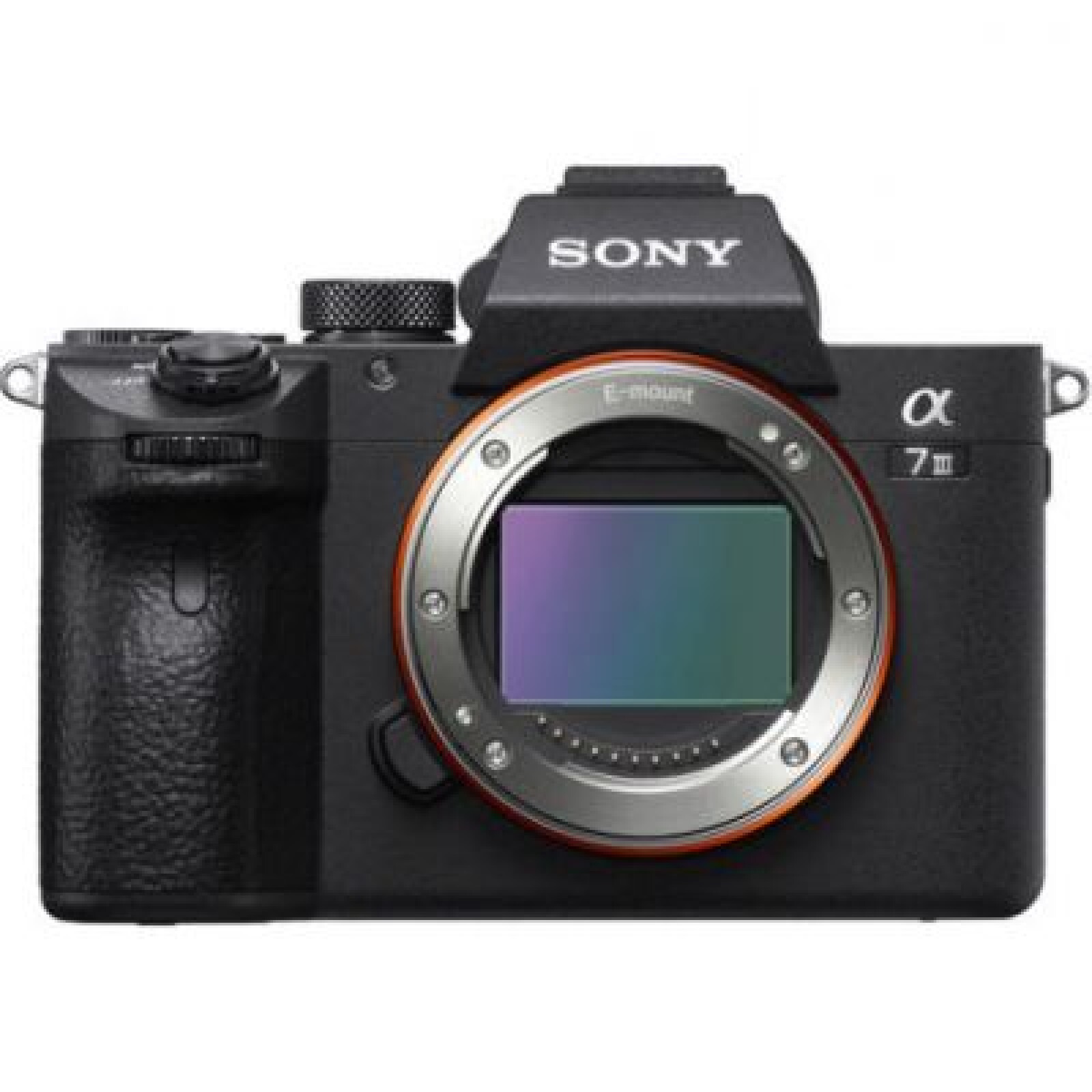 Sony Alpha 7 III (A73) - Photo 1 sur 1
