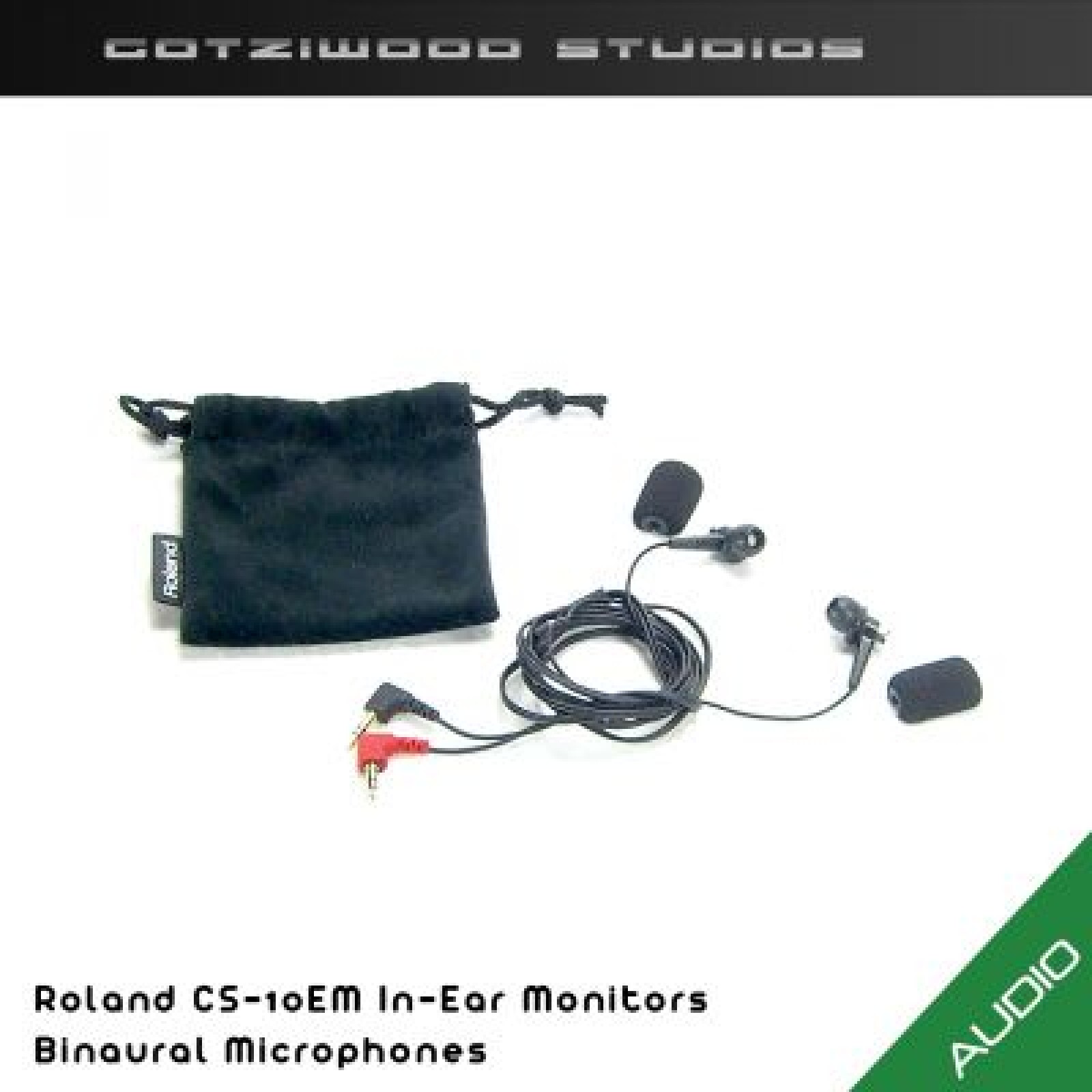 Roland CS-10EM In-Ear Monitors - Photo 1 sur 1