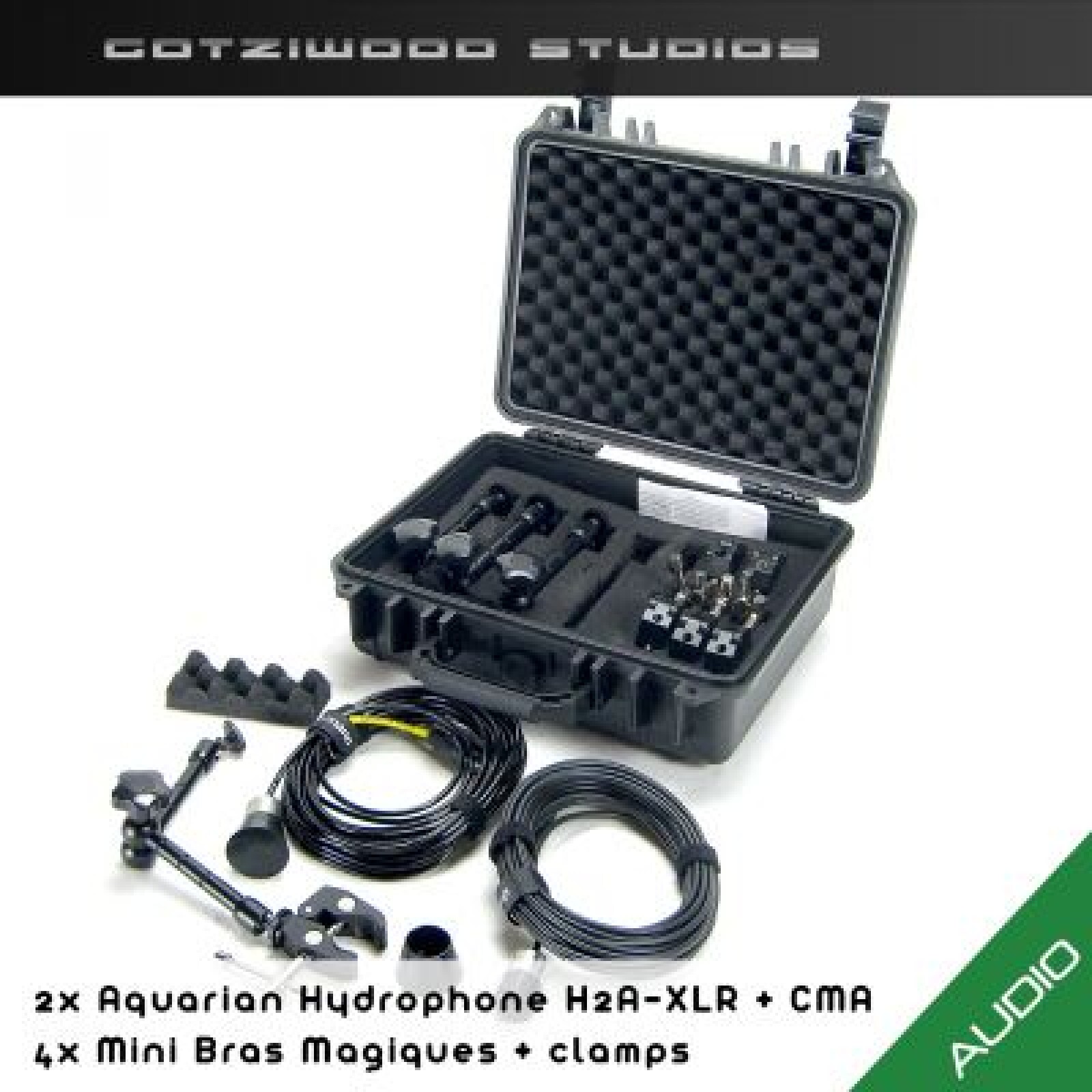 2x Aquarian Hydrophone H2A-XLR + CMA - Photo 1 sur 1