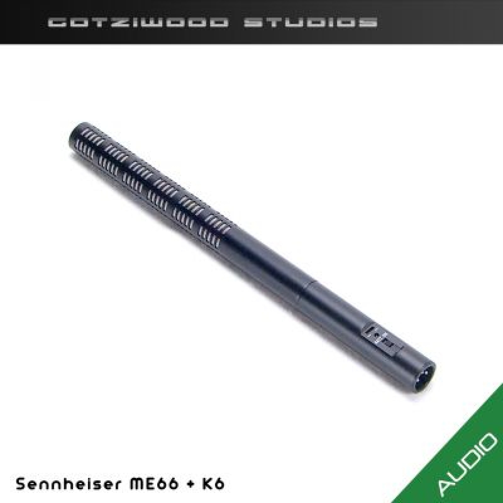 Sennheiser ME66 + K6 - Photo 1 sur 2