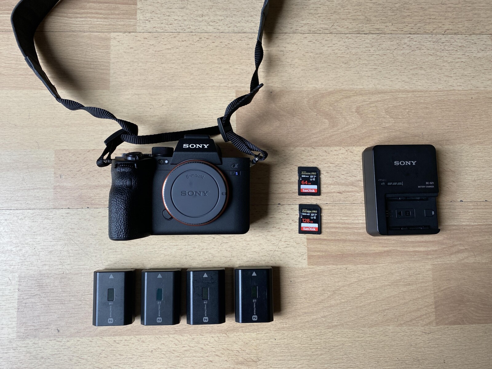 Sony Alpha 7S III (A7S3) - Photo 1 sur 1