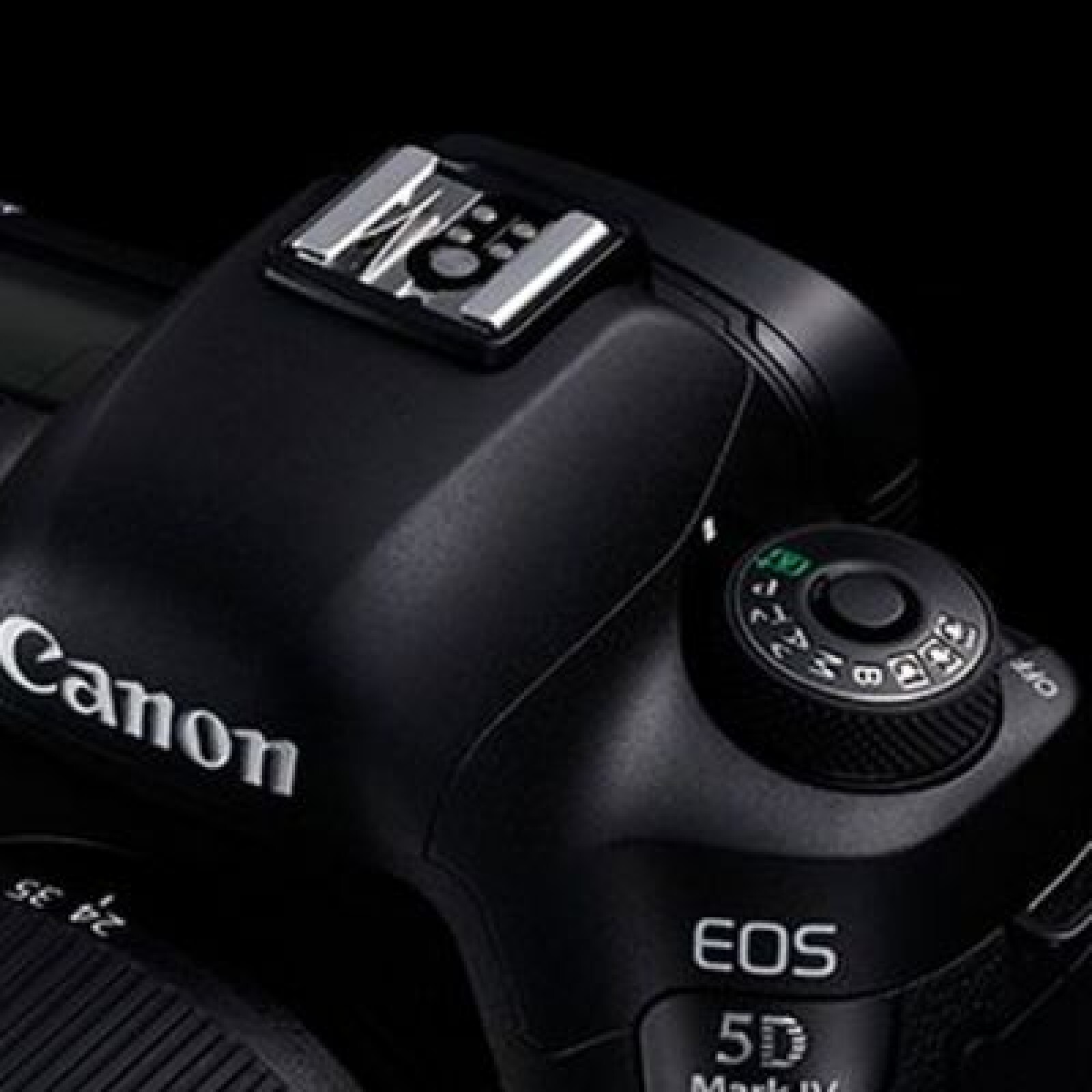 Canon 5D MK4 + Objectif au choix - Photo 4 sur 4