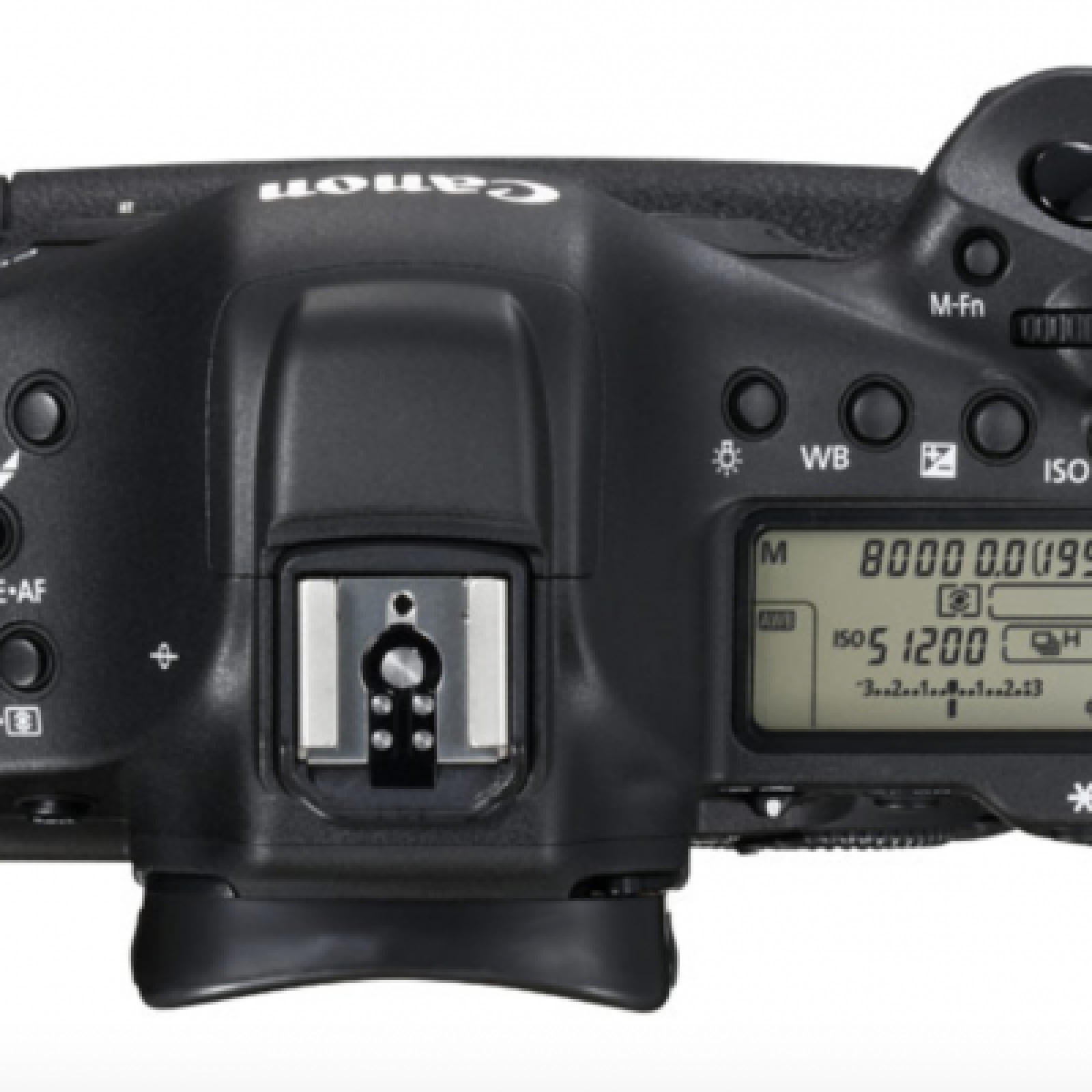 EOS-1DX MARK II - Photo 4 sur 4