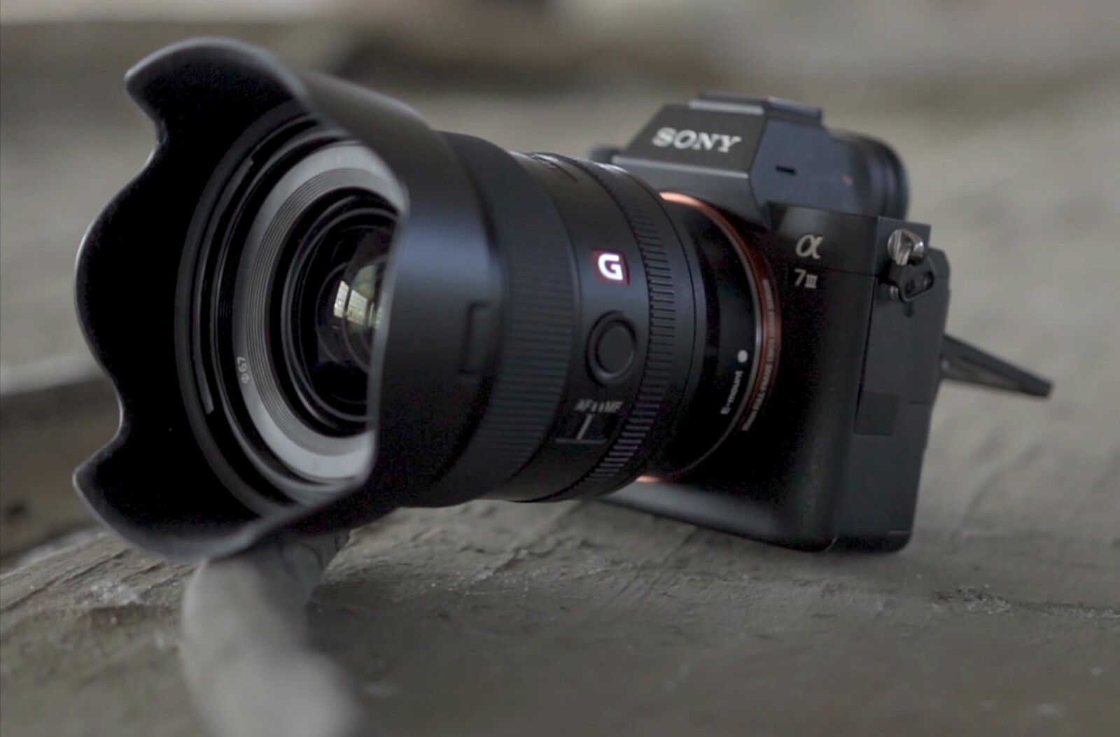 Sony A7S III + G Master 24 - 70 - Photo 1 sur 1
