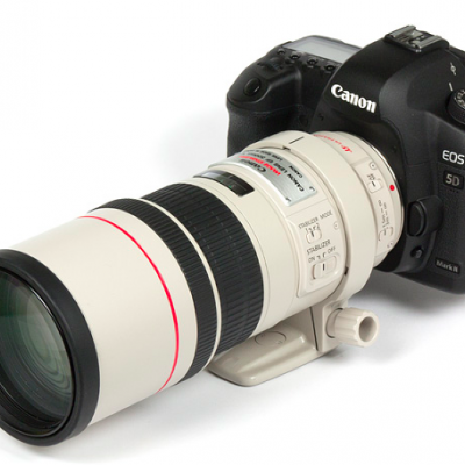 EF 300 mm L f/4 IS USM - Photo 2 sur 3
