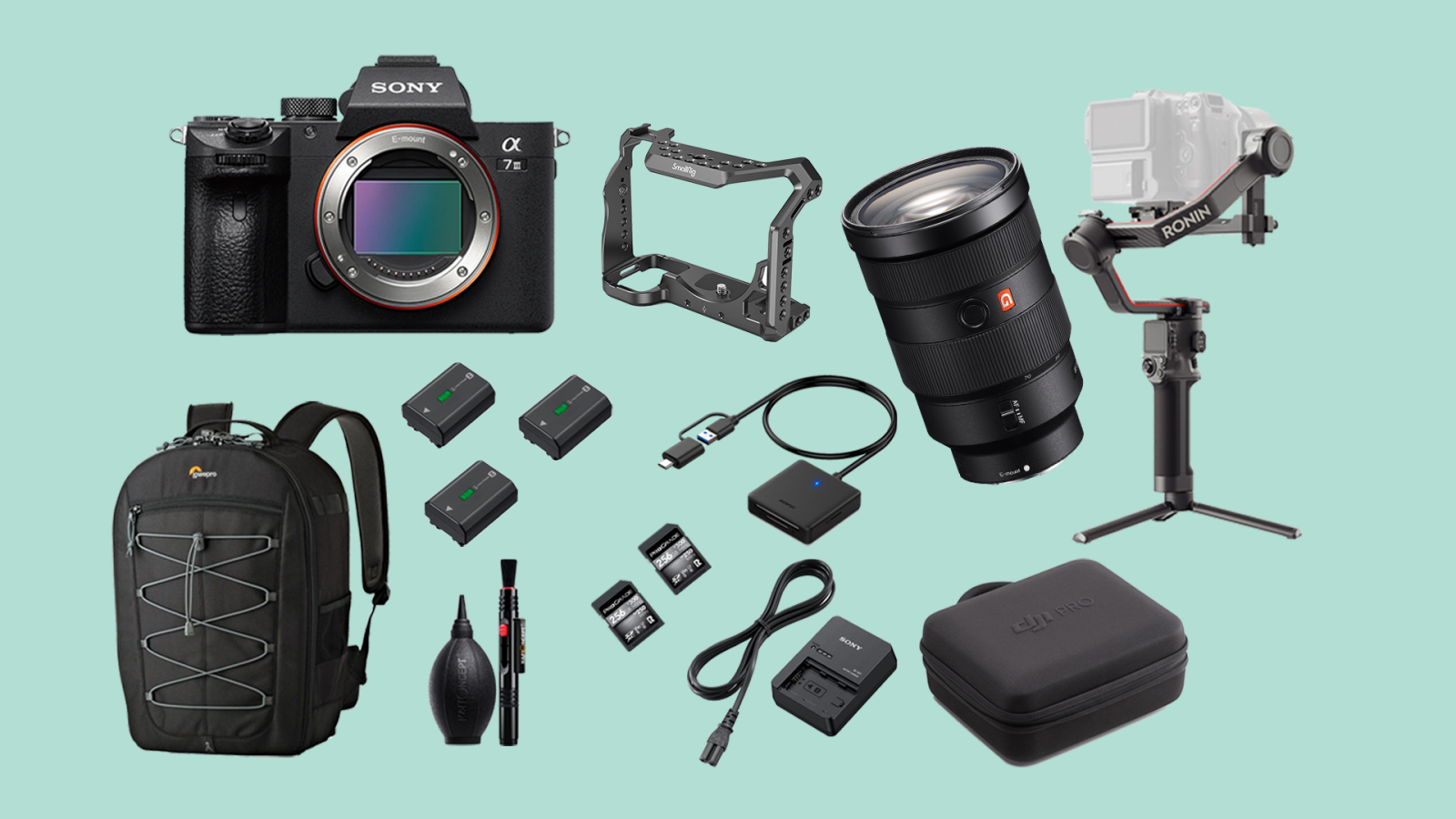 Sony Alpha 7S III (A7S3) - Photo 1 sur 1