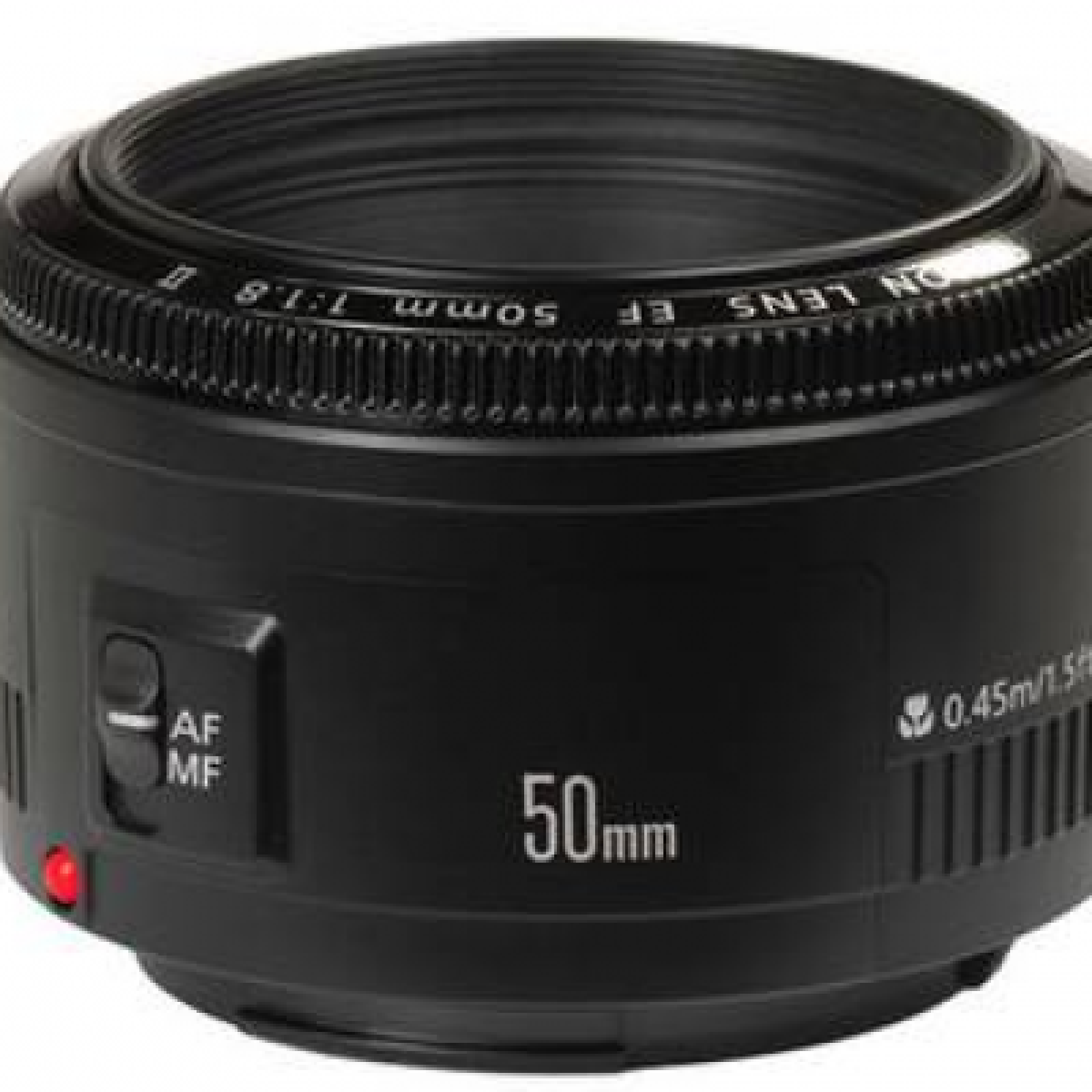 PACK CANON 6D - REPORTAGE - Photo 5 sur 5