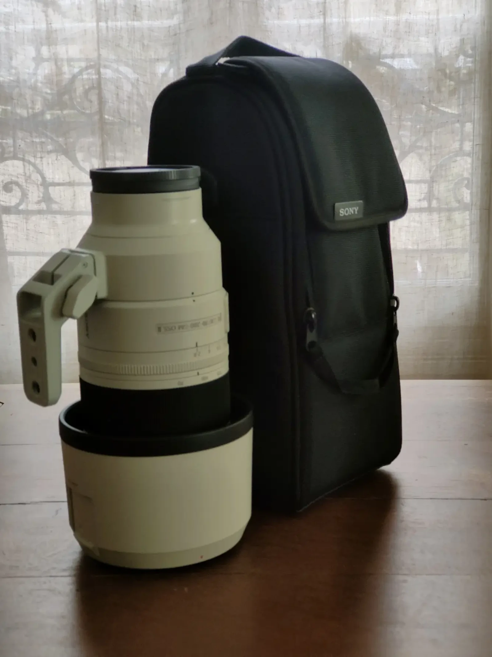 Sony FE 70-200mm f/2.8 GM OSS II - Photo 1 sur 1