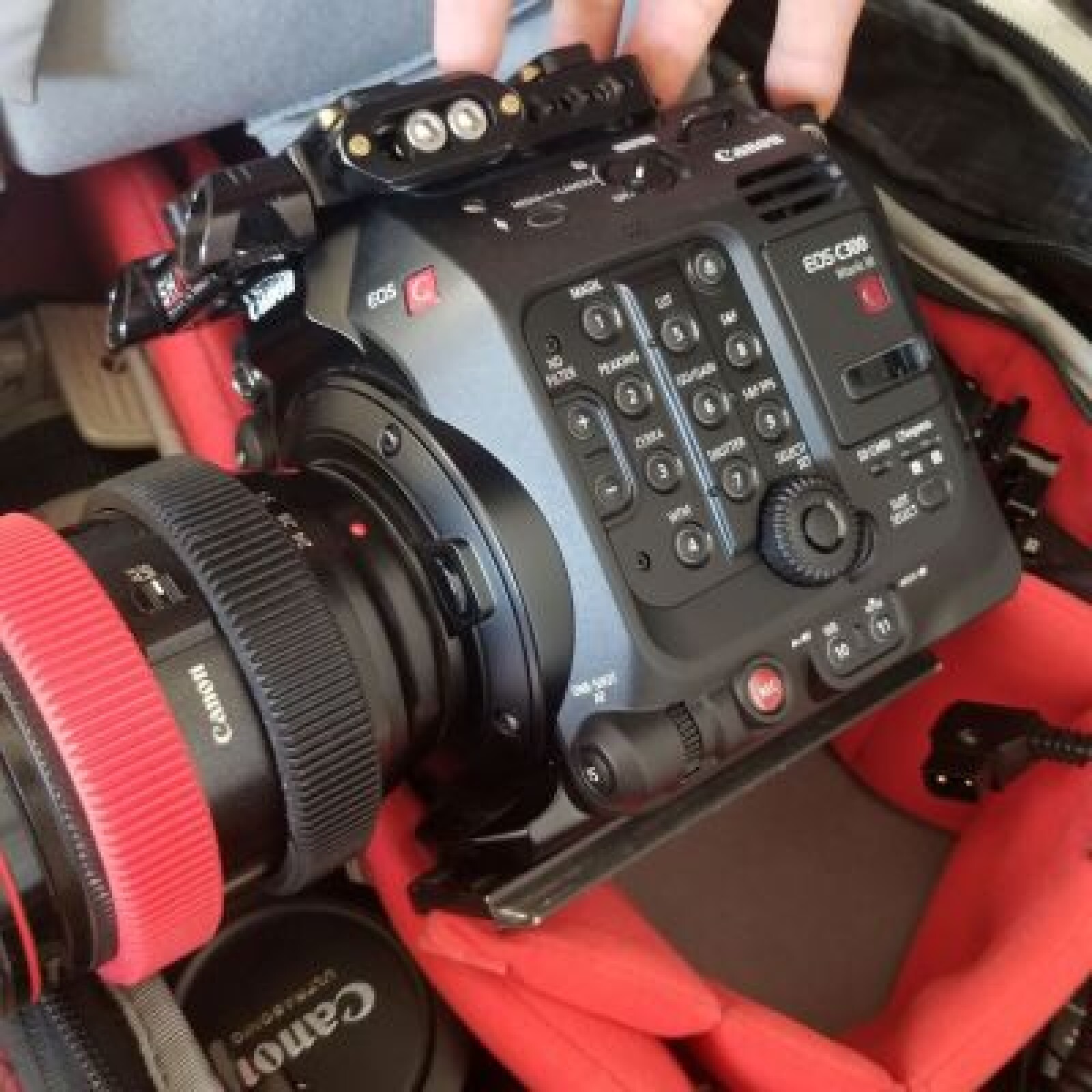 Canon C300 Mark III - Photo 1 sur 1