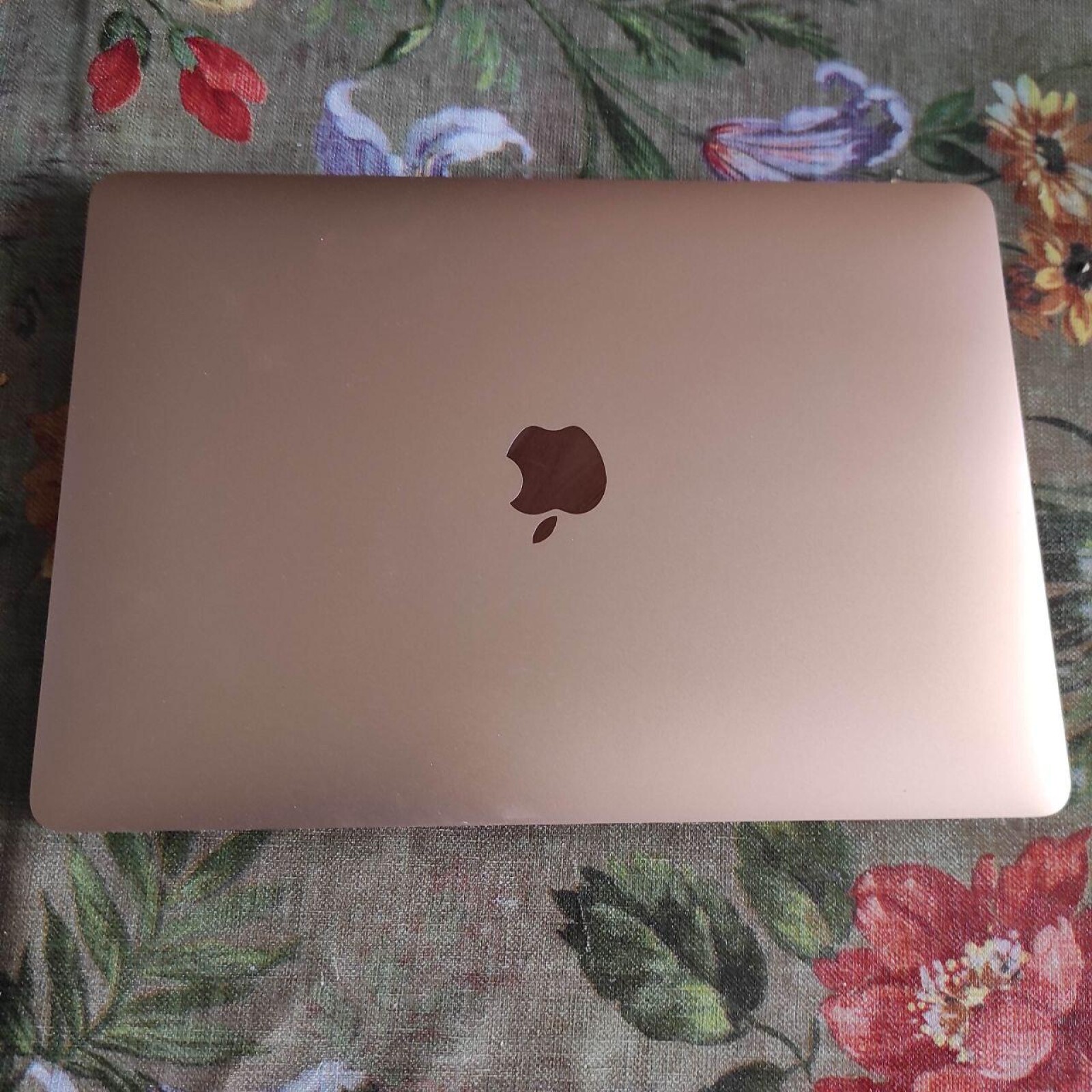 MacBook Air M1 SSD 256go 8go de RAM - Photo 1 sur 1