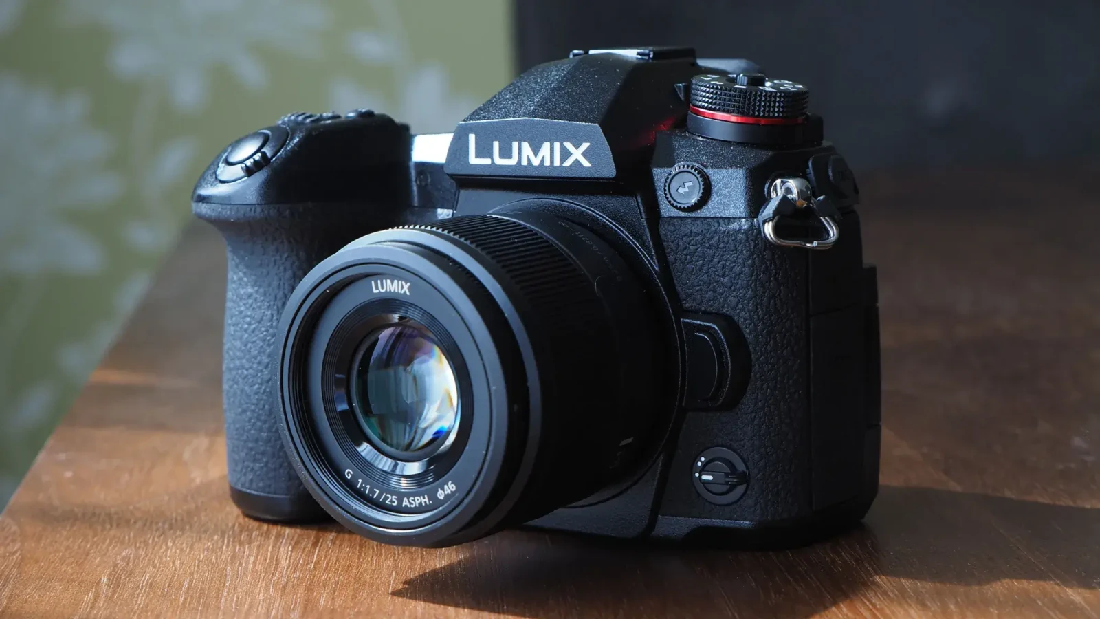 Panasonic GH5 II - Photo 1 sur 1