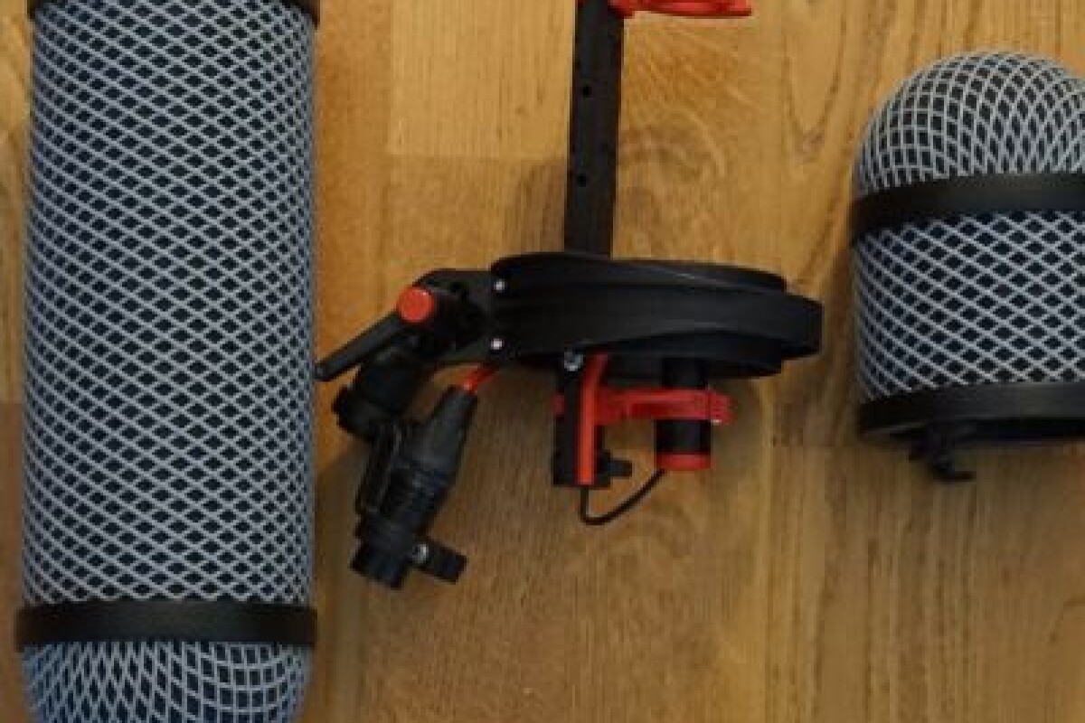 Location Rycote Super Blimp for Rode NTG - Lightyshare