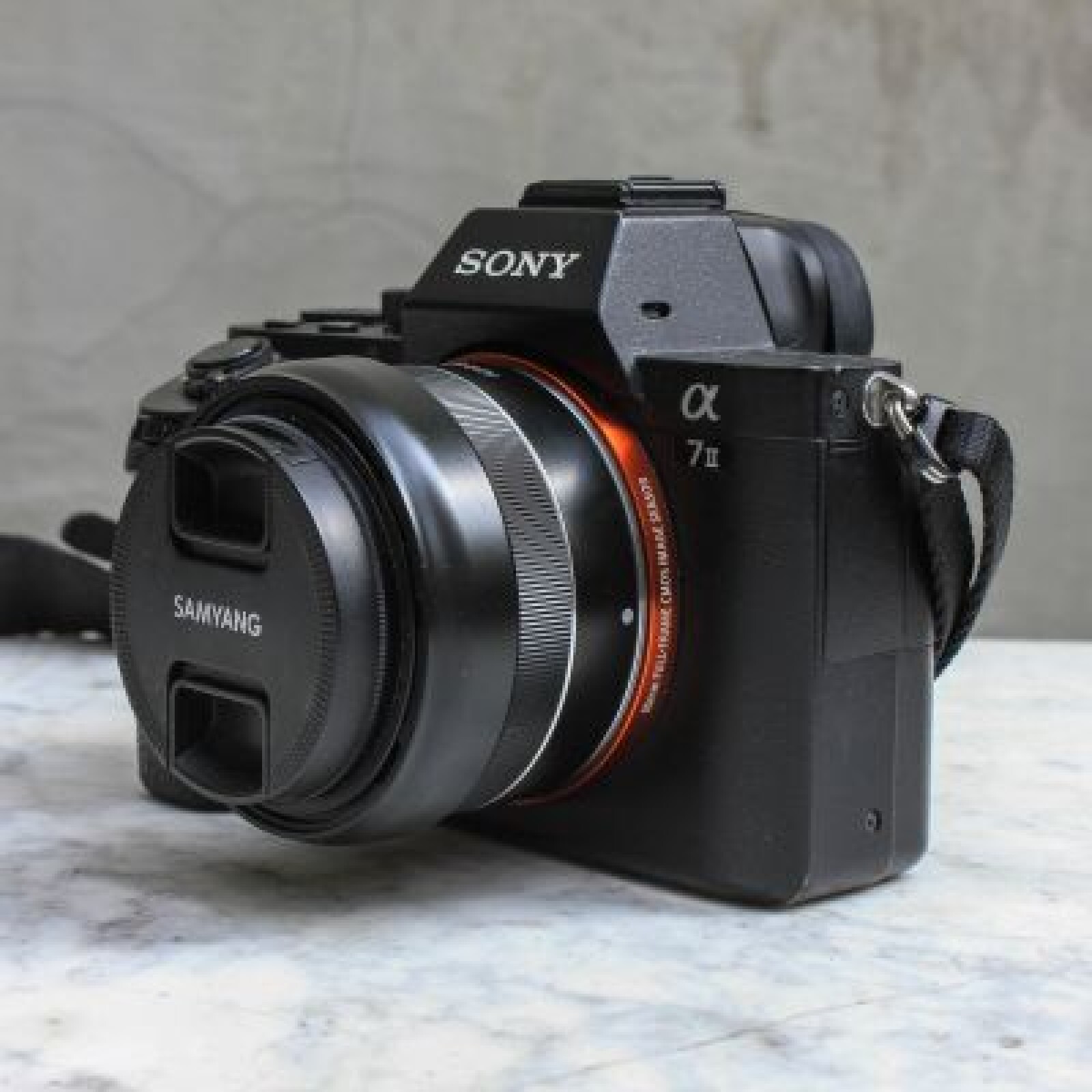 Sony A7II + Zeiss 55mm F1.8 + Samyang 24mm F2.8 - Photo 3 sur 4