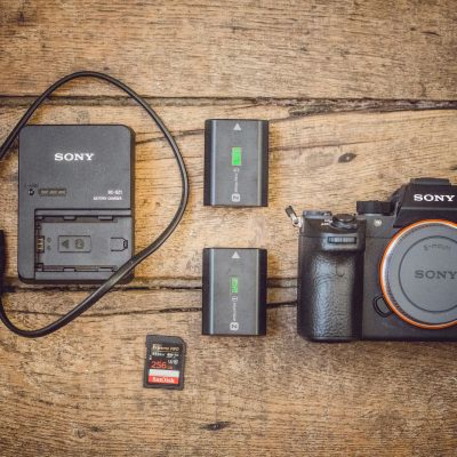 Sony Alpha 7R3 - Photo 1 sur 3