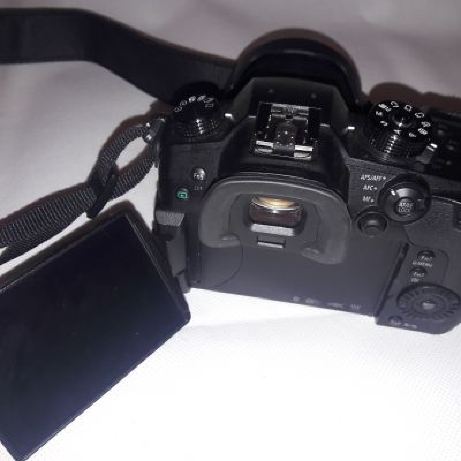 LUMIX GH5 - Photo 2 sur 4