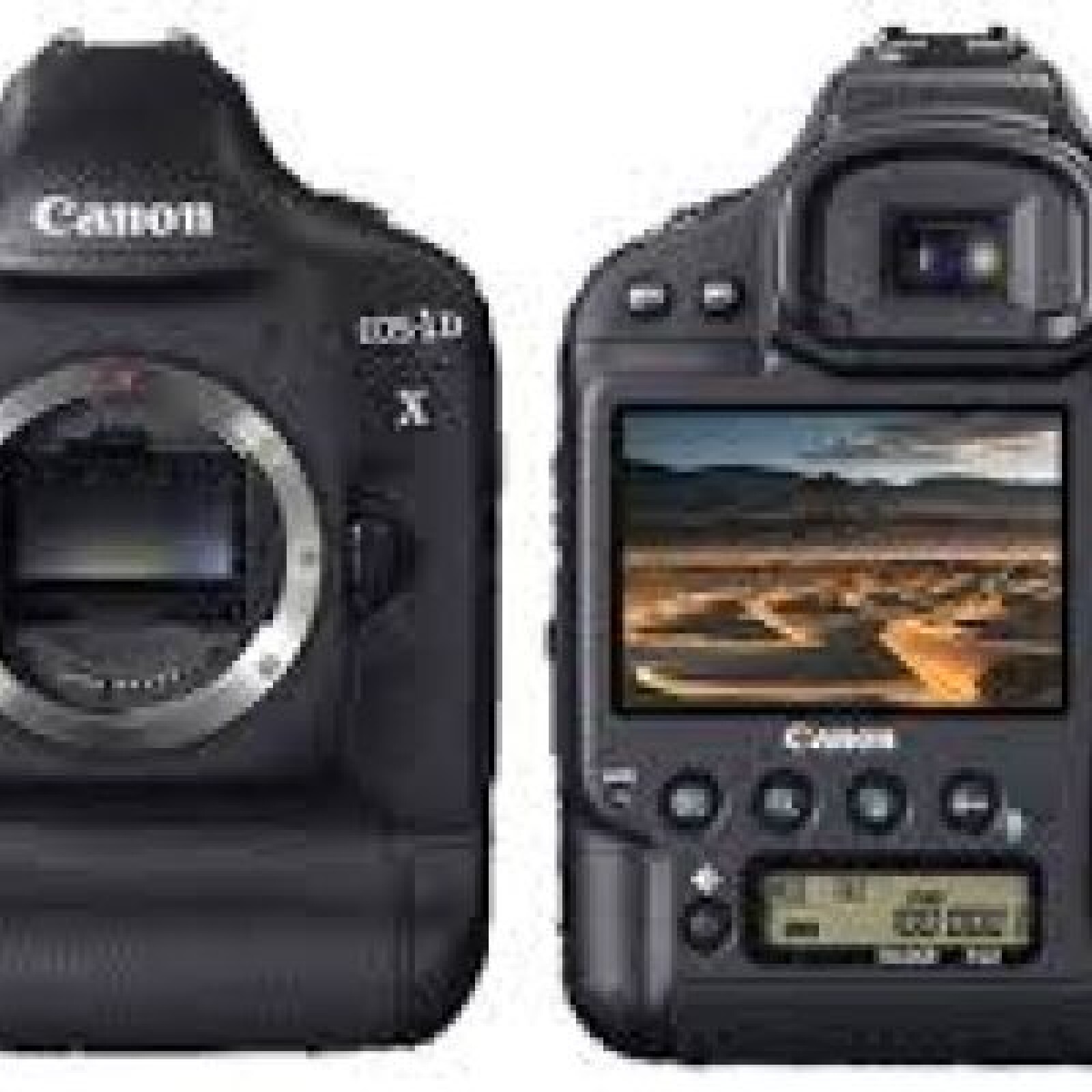 Canon 1Dx - Photo 2 sur 2