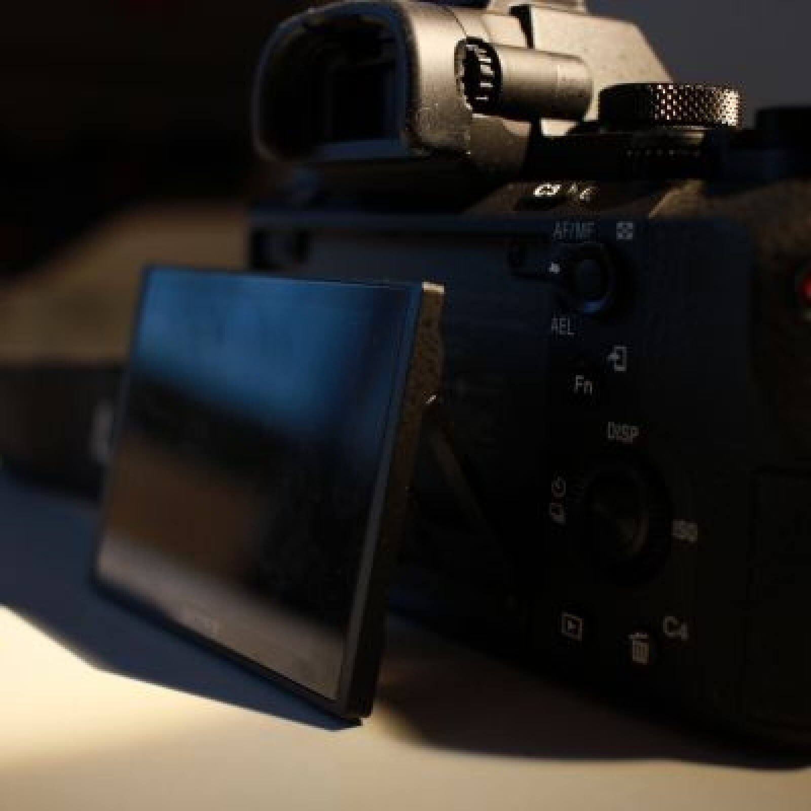 Sony alpha 7 II - Photo 2 sur 3