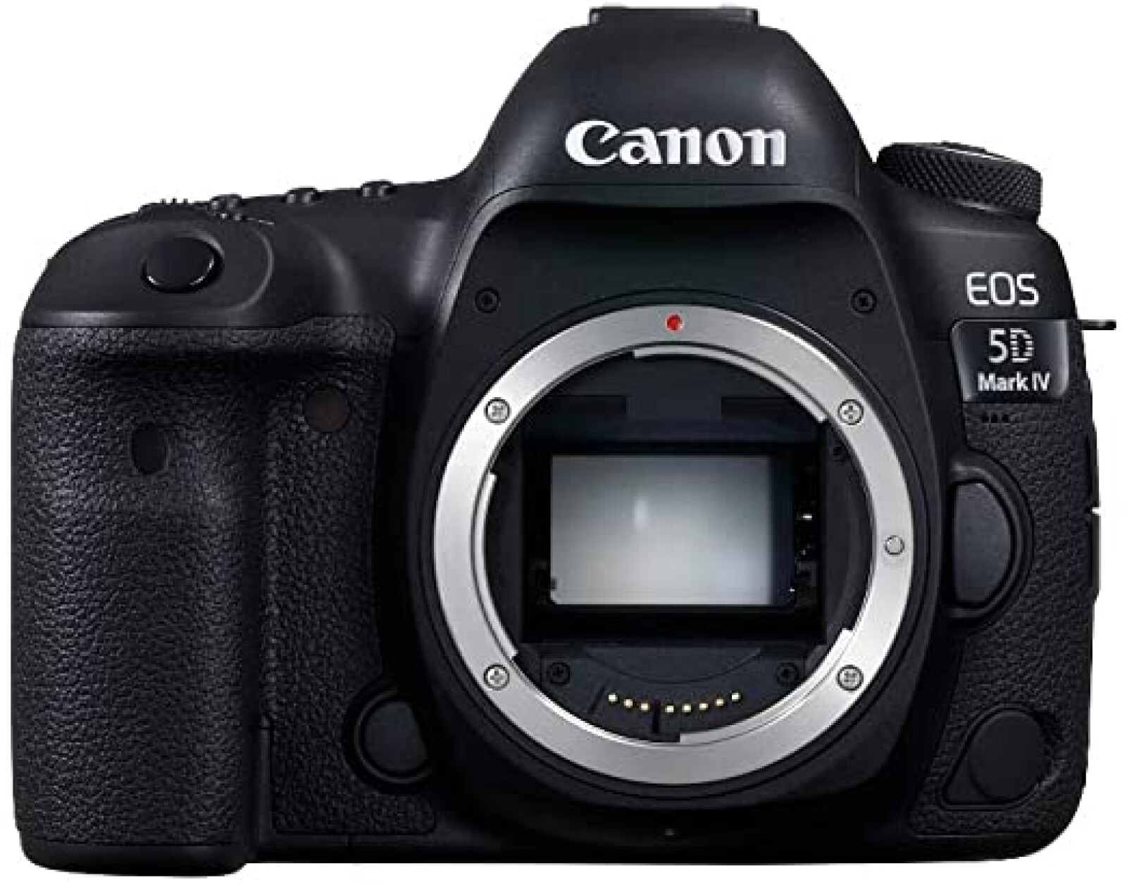 Canon 5D MK IV - Photo 1 sur 1