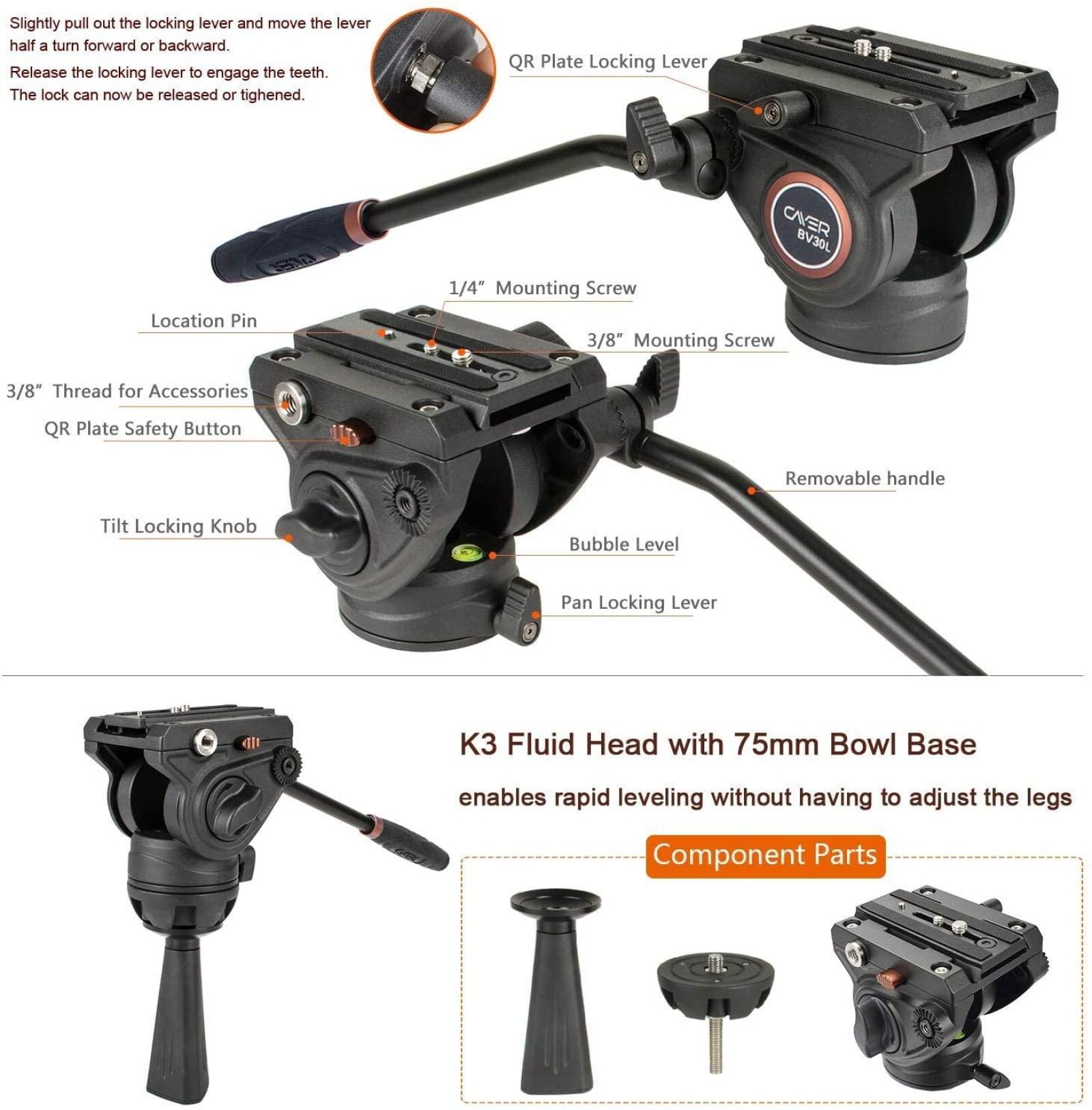 CAYER BV30L - Photo 2 sur 5