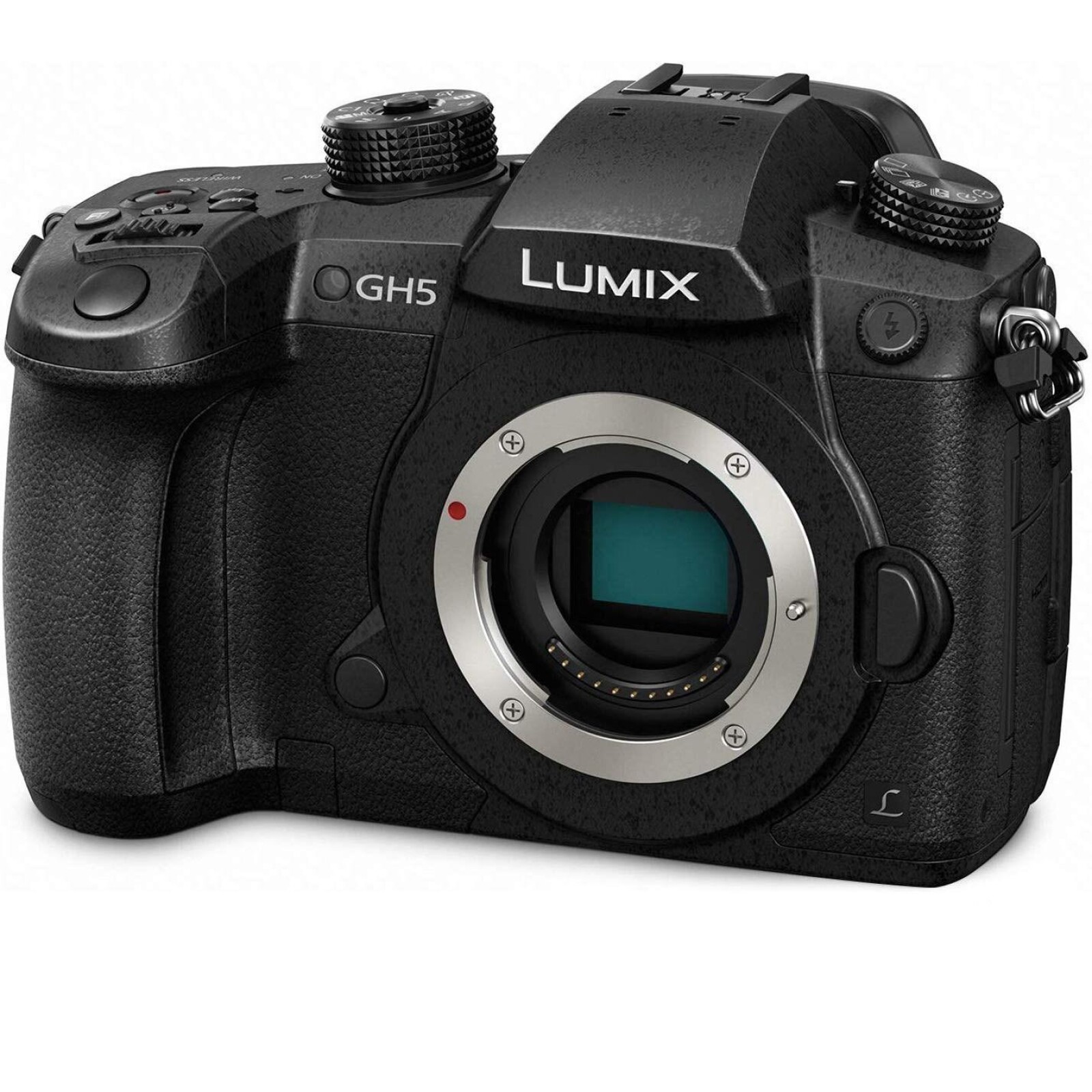 Panasonic LUMIX GH5 - Photo 4 sur 5
