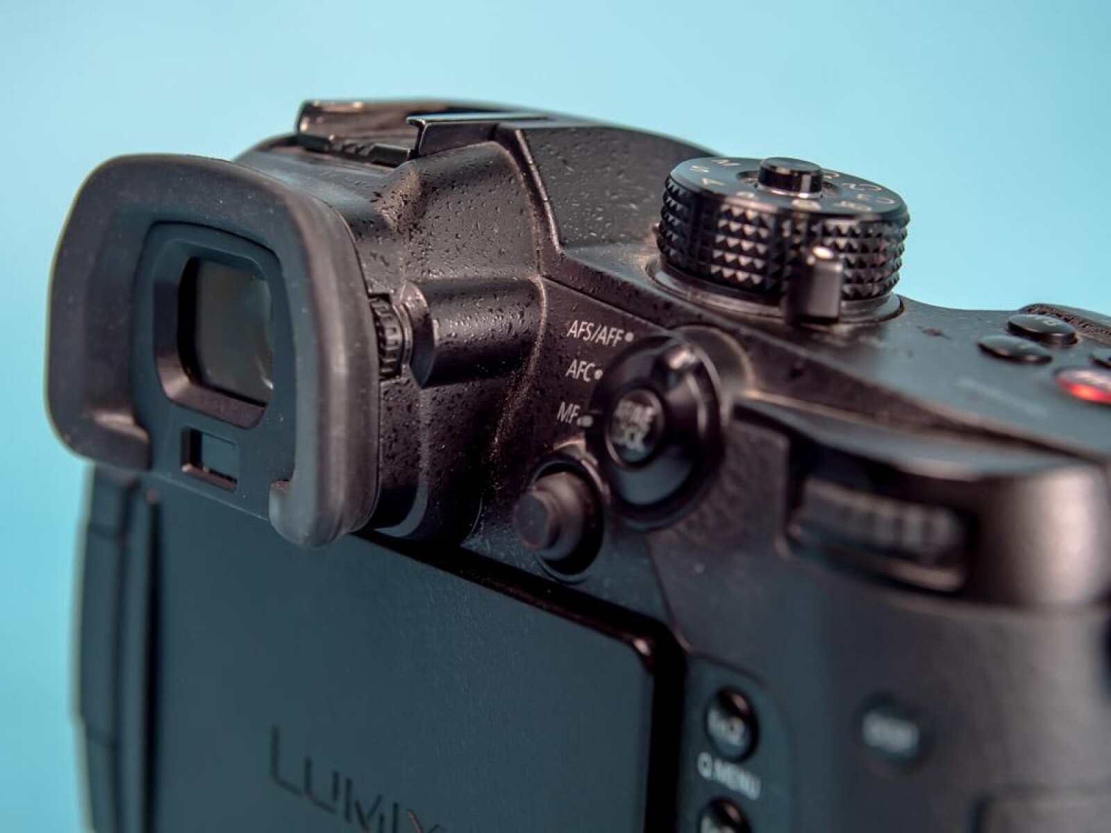 Panasonic Lumix GH5S - Photo 2 sur 3