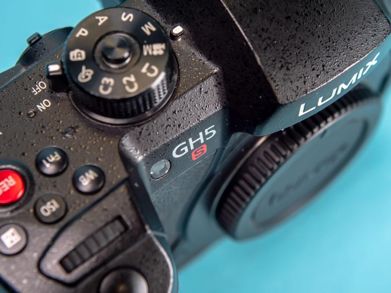 Panasonic Lumix GH5S - Photo 3 sur 3