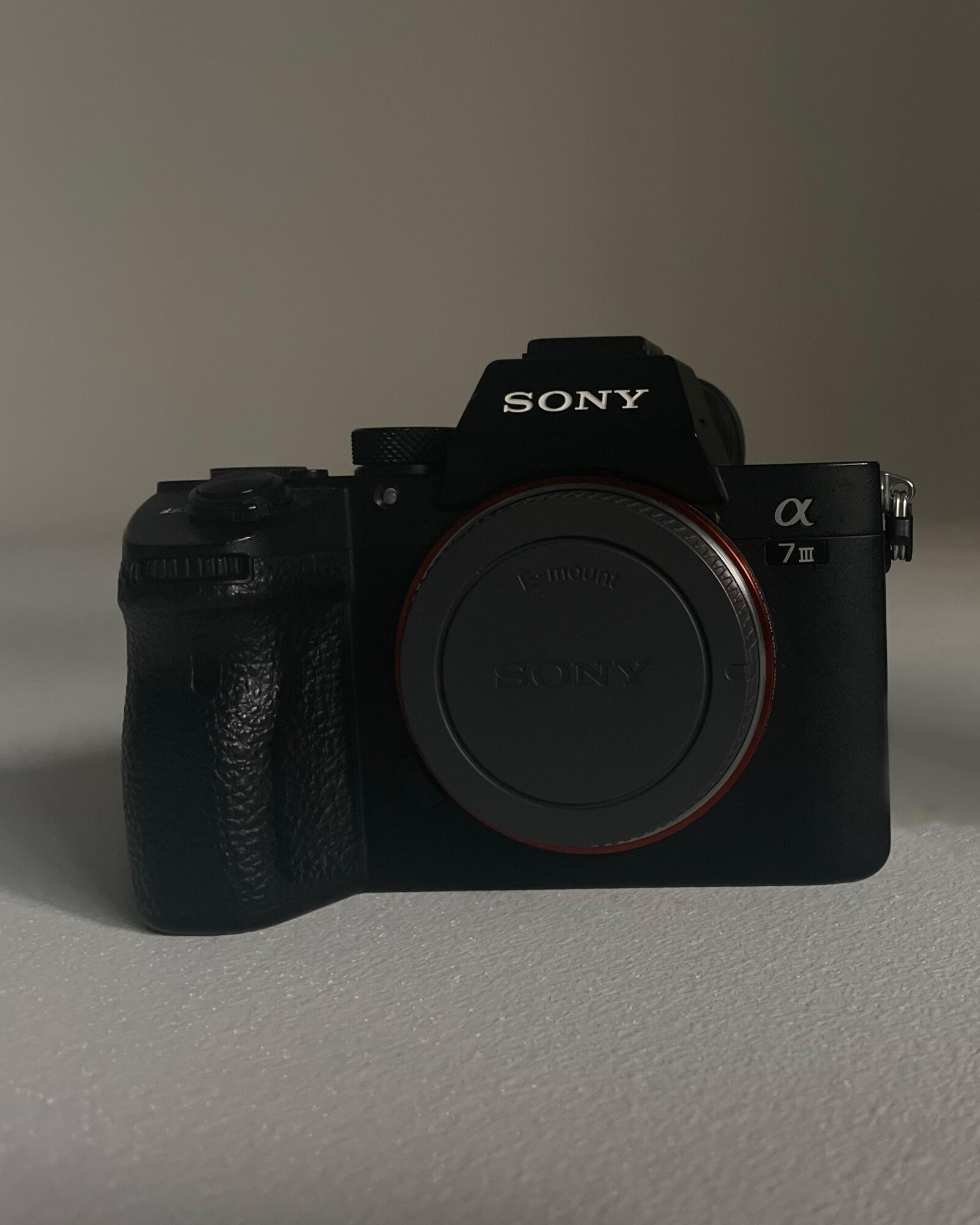 Sony alpha 7 III - Photo 1 sur 1