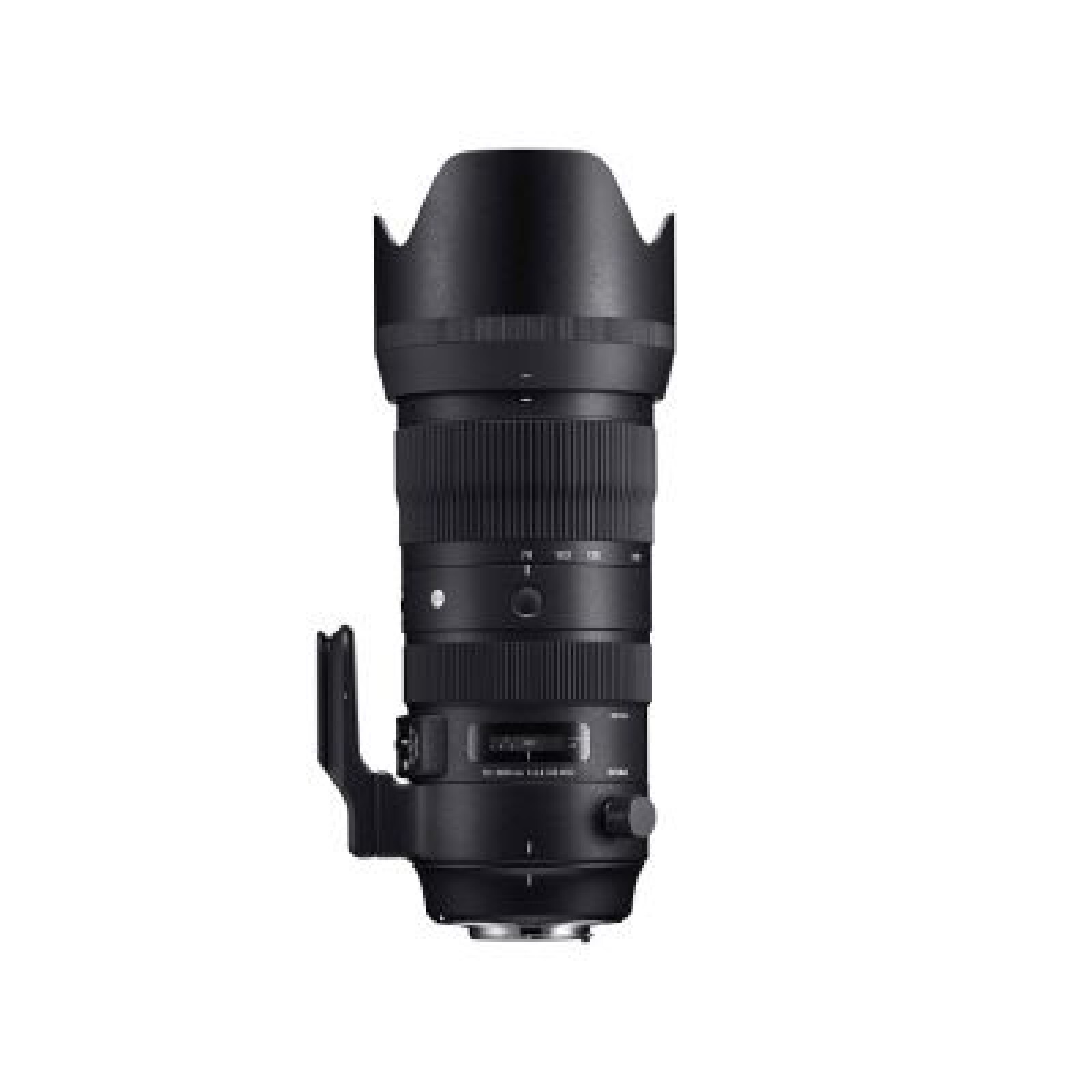 Sigma 70-200 ART f/2.8 DG OS HSM SPORT Monture Nikon - Photo 1 sur 1