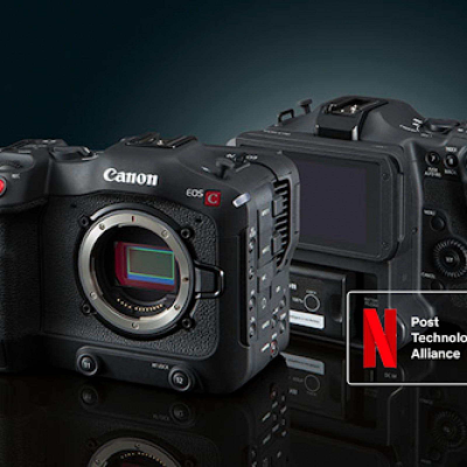 CANON EOS C70 #basic - Photo 5 sur 5