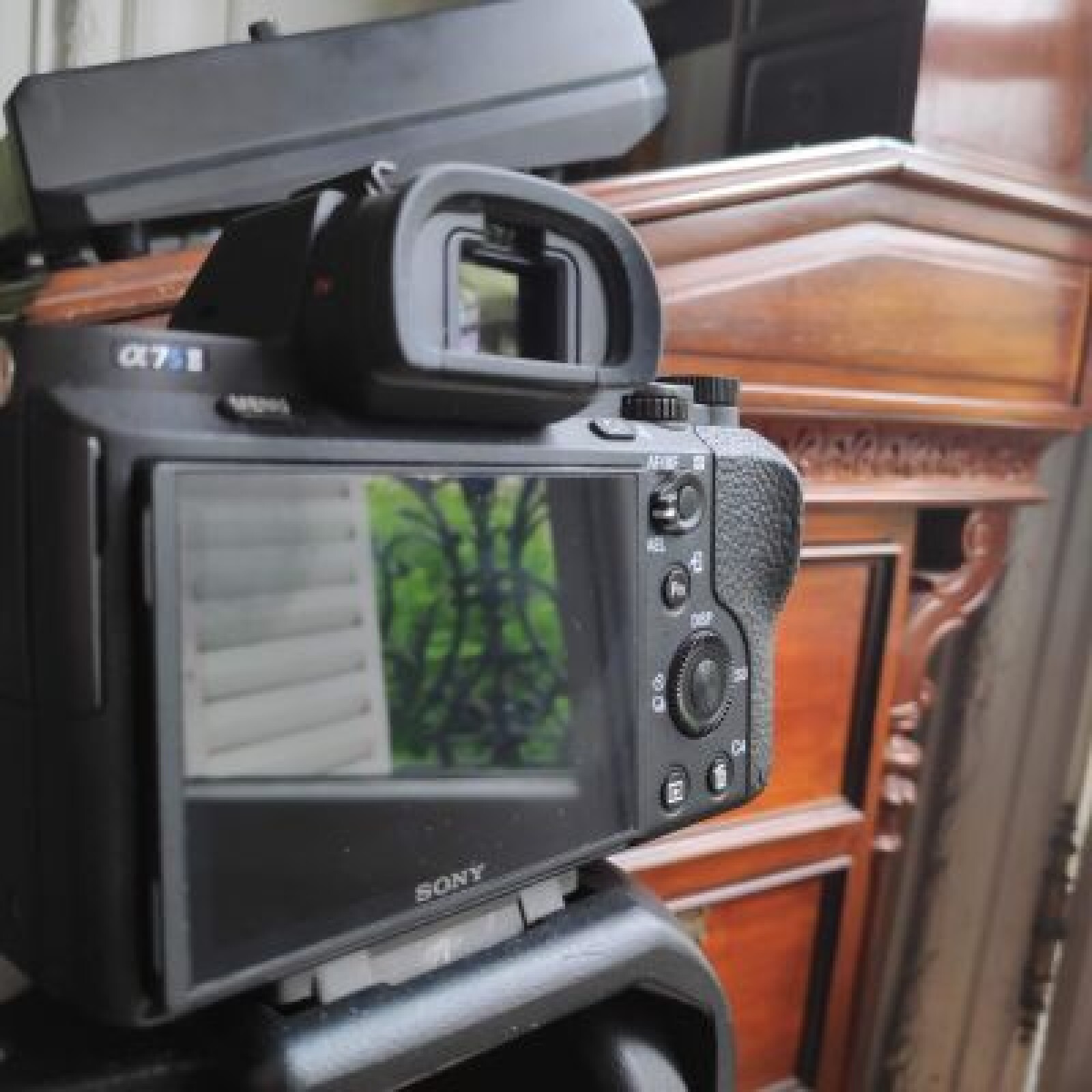 Sony Alpha 7S II + Sony 18-105 - Photo 3 sur 4