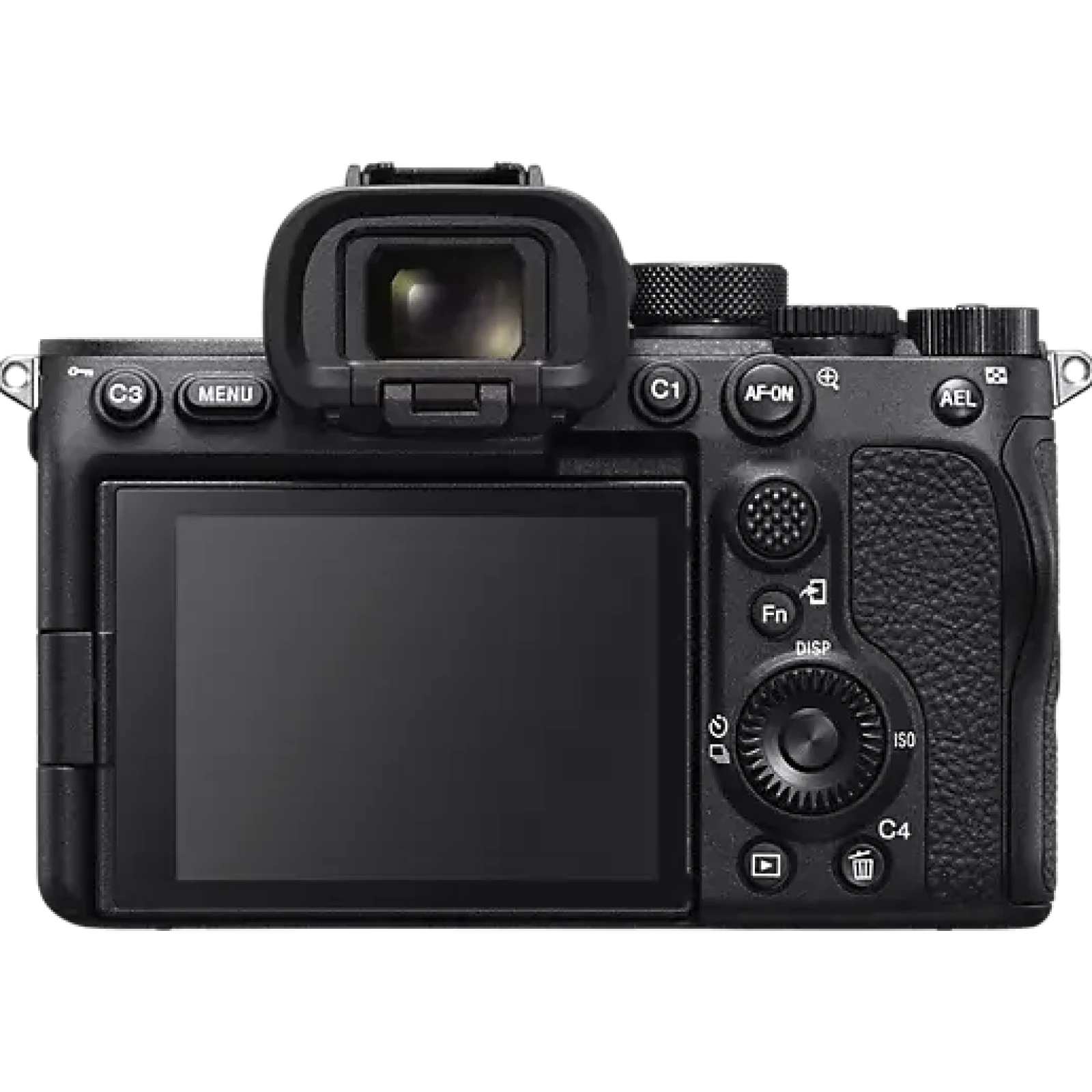 Sony Alpha 7S III (A7S3) - Photo 3 sur 5