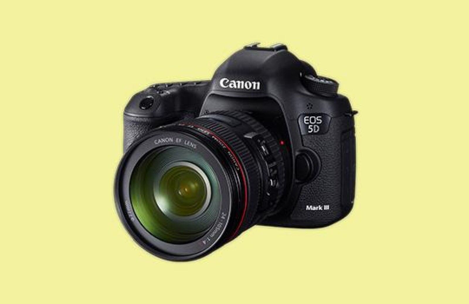 Canon 5d Mark III + Canon 24-105mm f/4 - Photo 1 sur 1