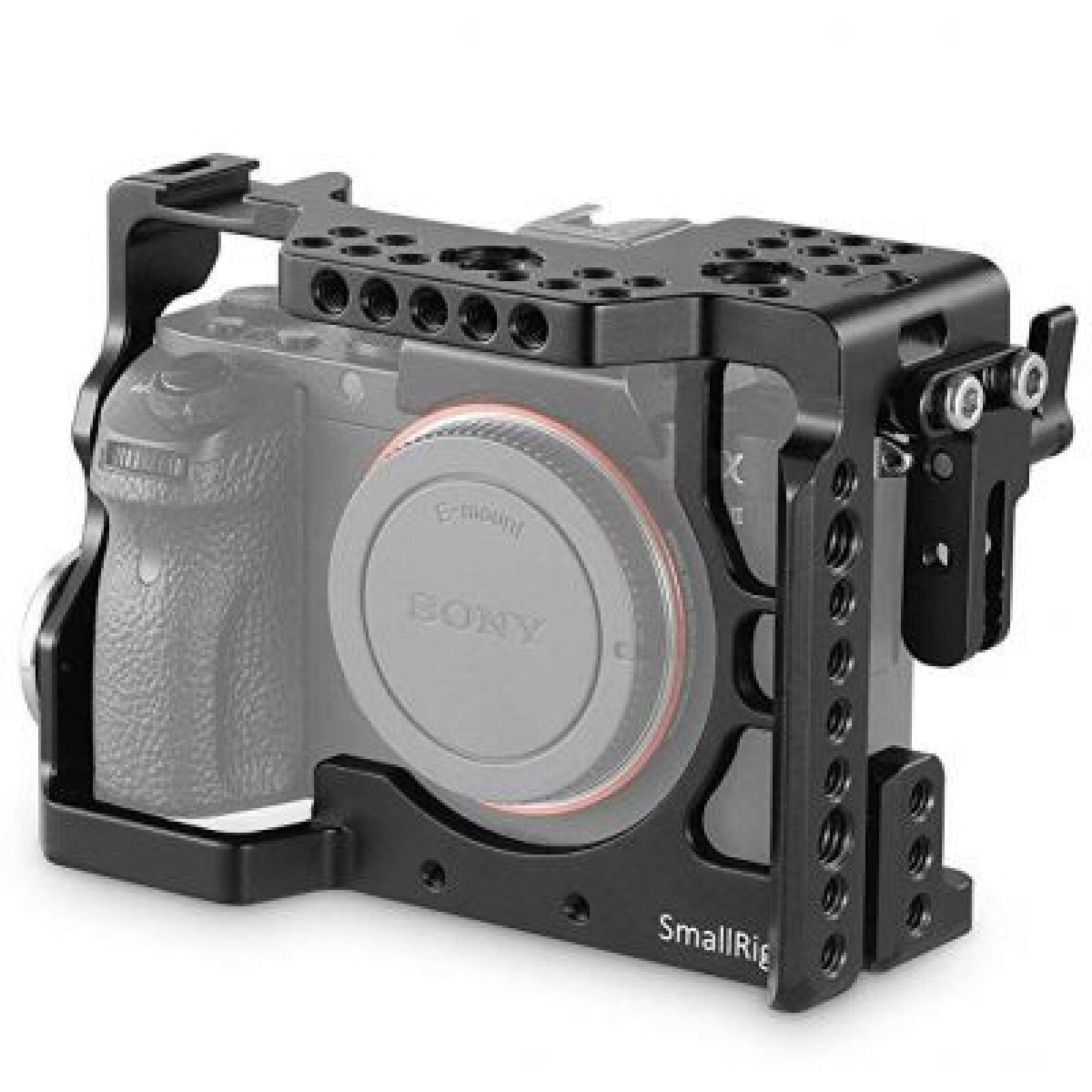 Sony Alpha 7 III (A73) - Photo 2 sur 5