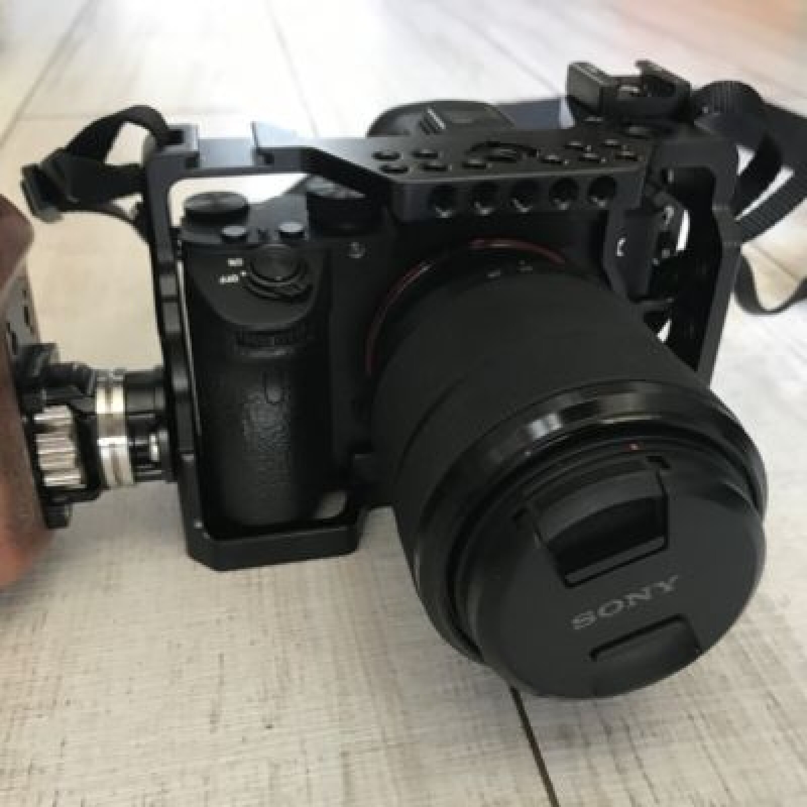 Sony Alpha 7 III (A73) - Photo 1 sur 5