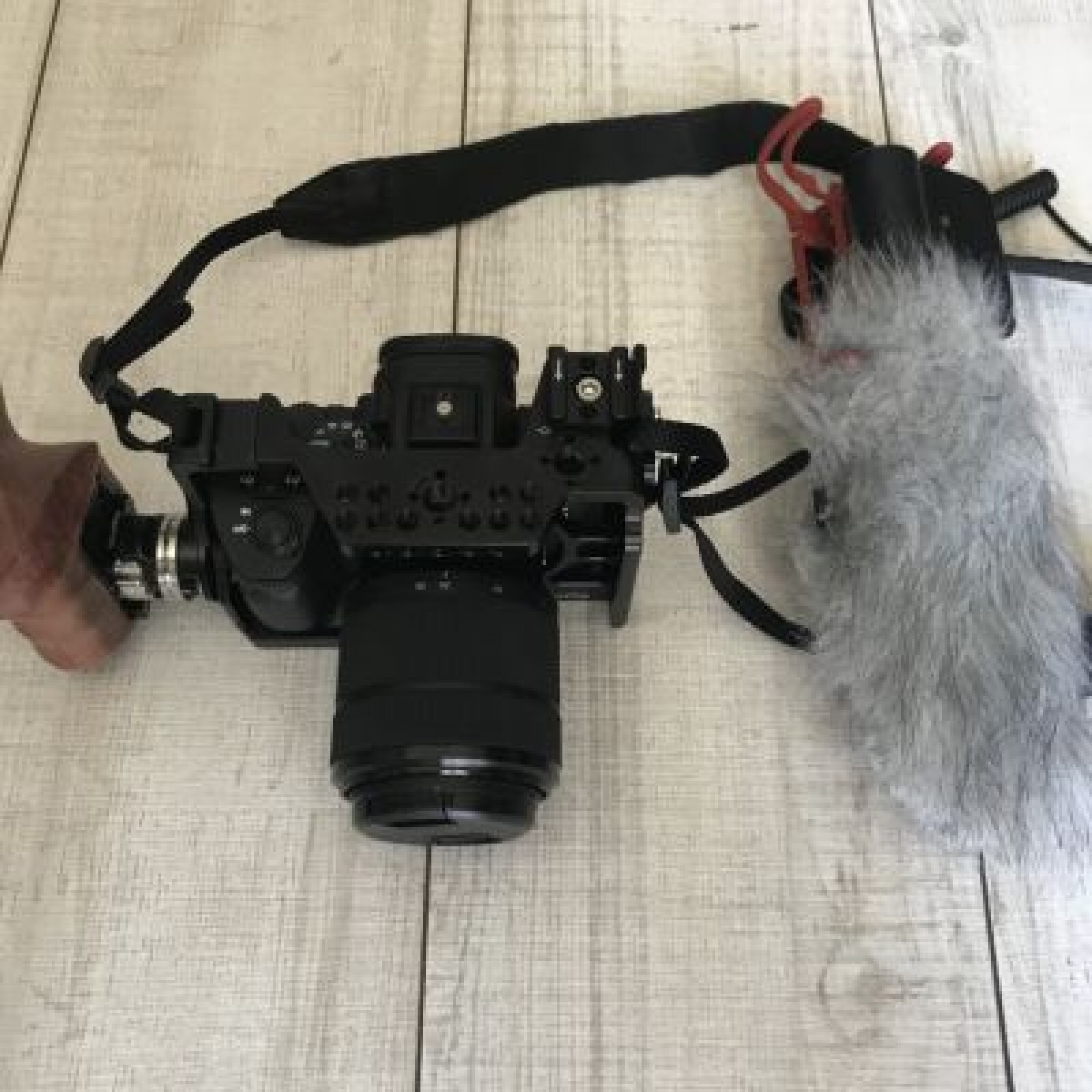 Sony Alpha 7 III (A73) - Photo 4 sur 5