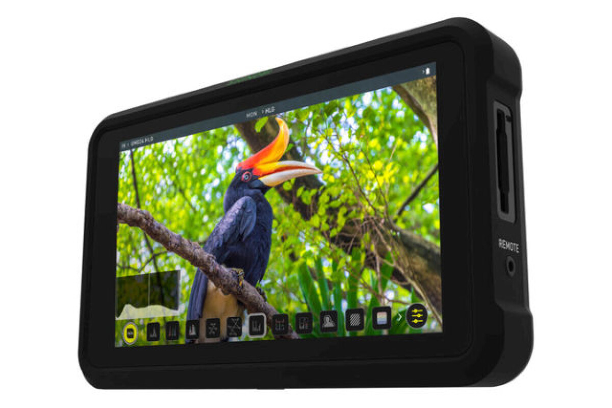 Location Atomos Shinobi - Lightyshare