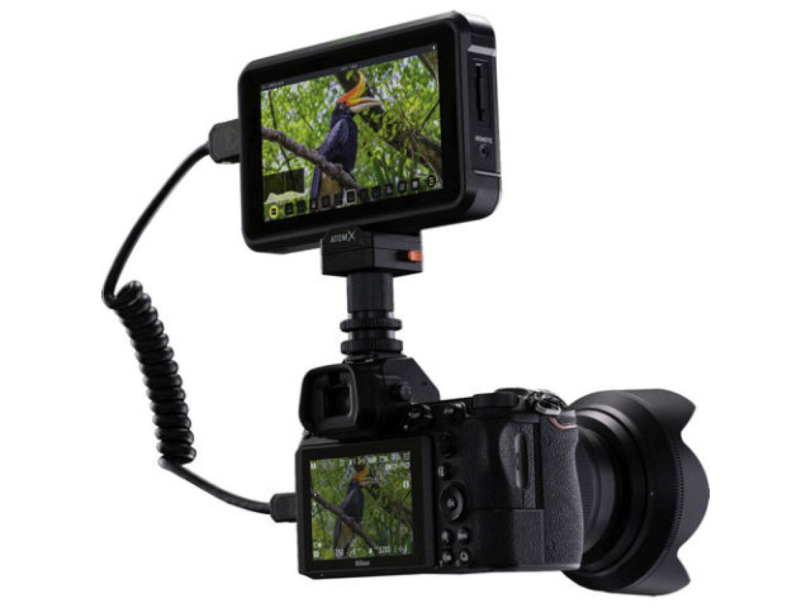 Atomos Shinobi - Photo 2 sur 2