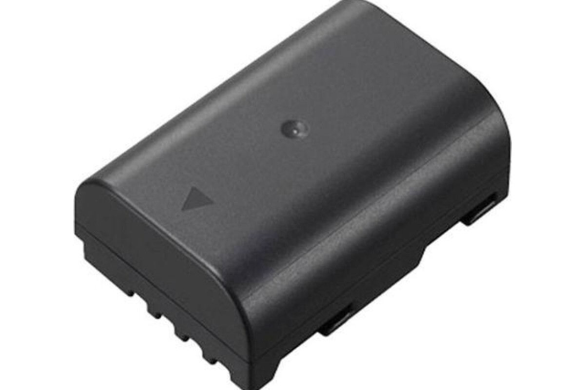 Location Panasonic batterie DMW-BLF19 pour série GH3/GH4/GH5/G9/GH5II - Lightyshare