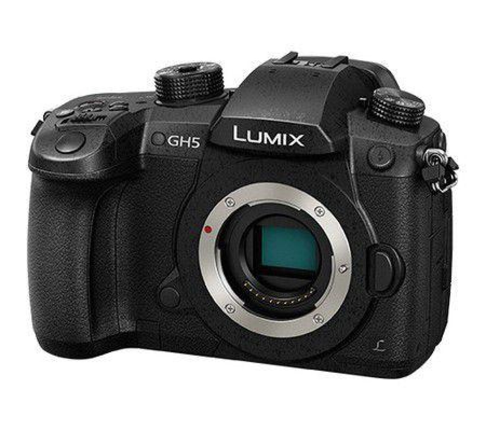 Panasonic LUMIX GH5 - Photo 1 sur 3