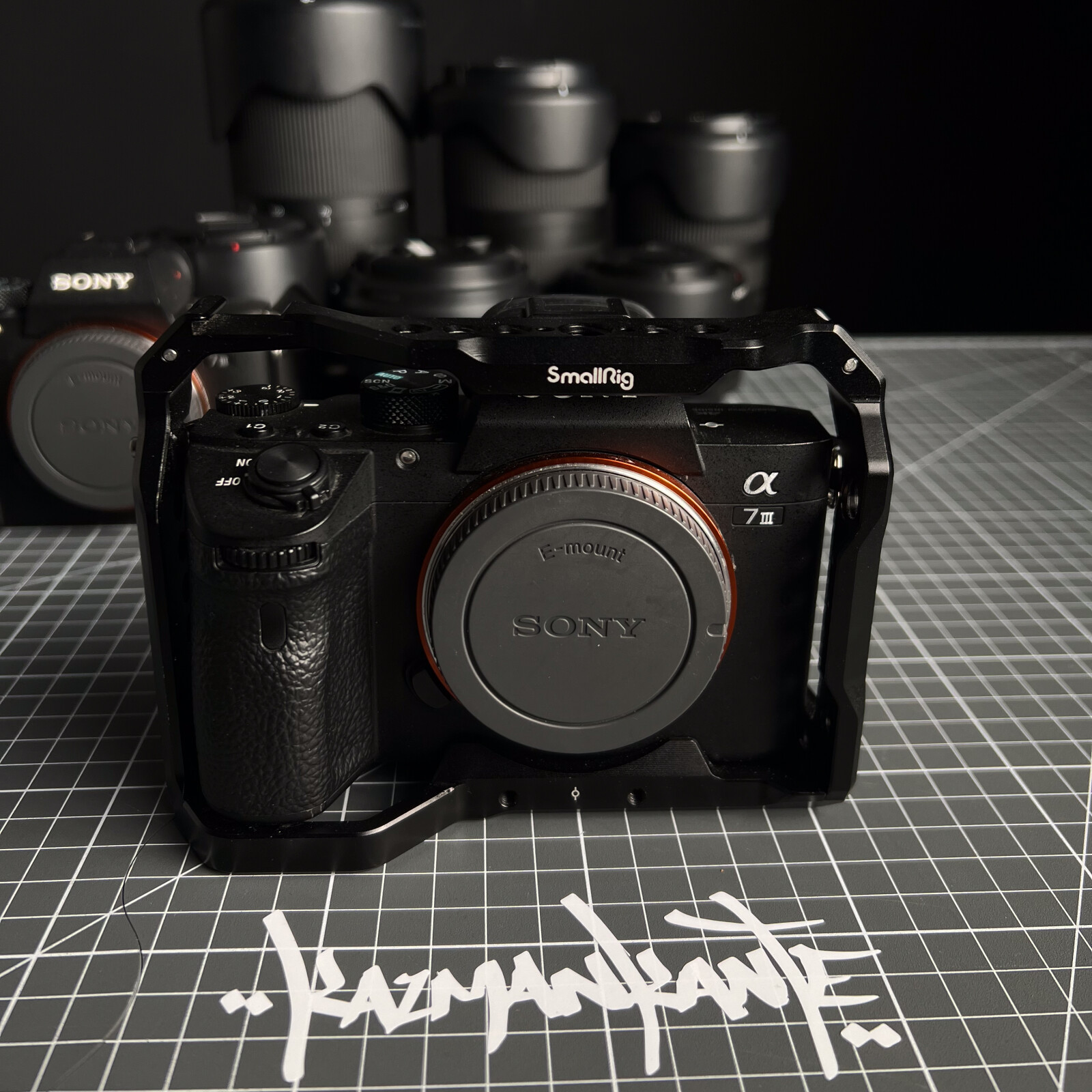 Sony Alpha 7 III (A73) - Photo 3 sur 4