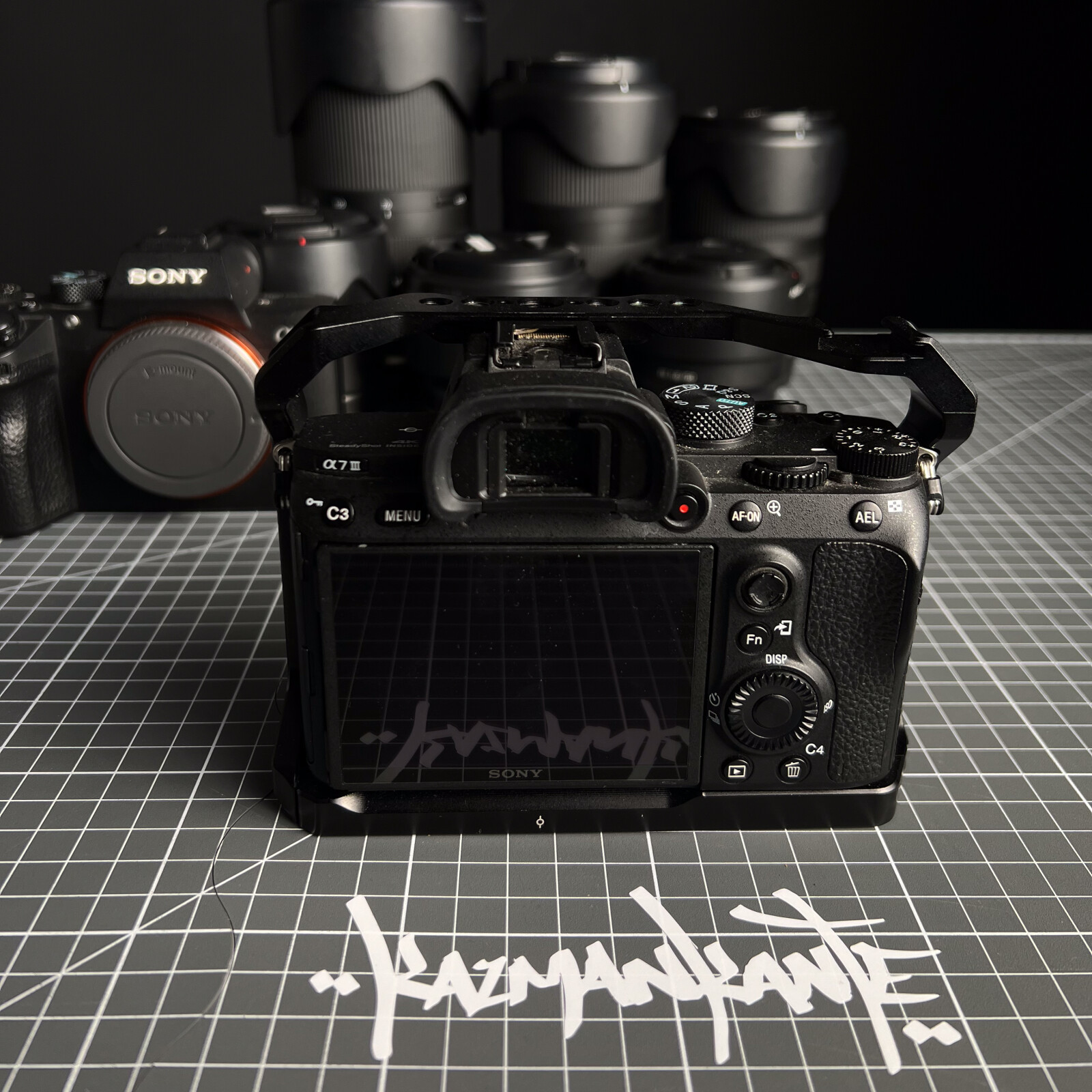 Sony Alpha 7 III (A73) - Photo 2 sur 4