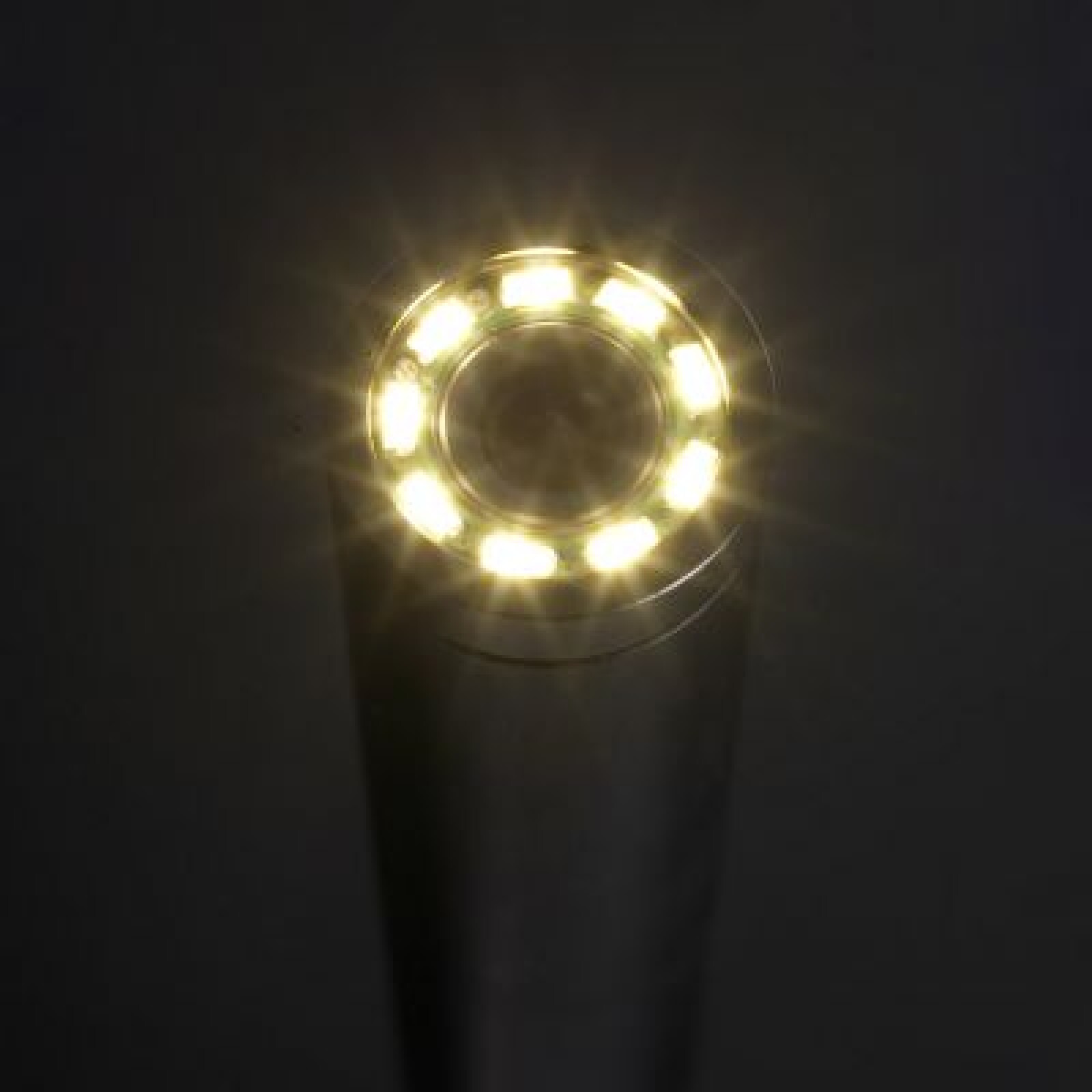Laowa 24mm macro F14 - Objectif fixe macro - Monture Canon EF - Photo 5 sur 5