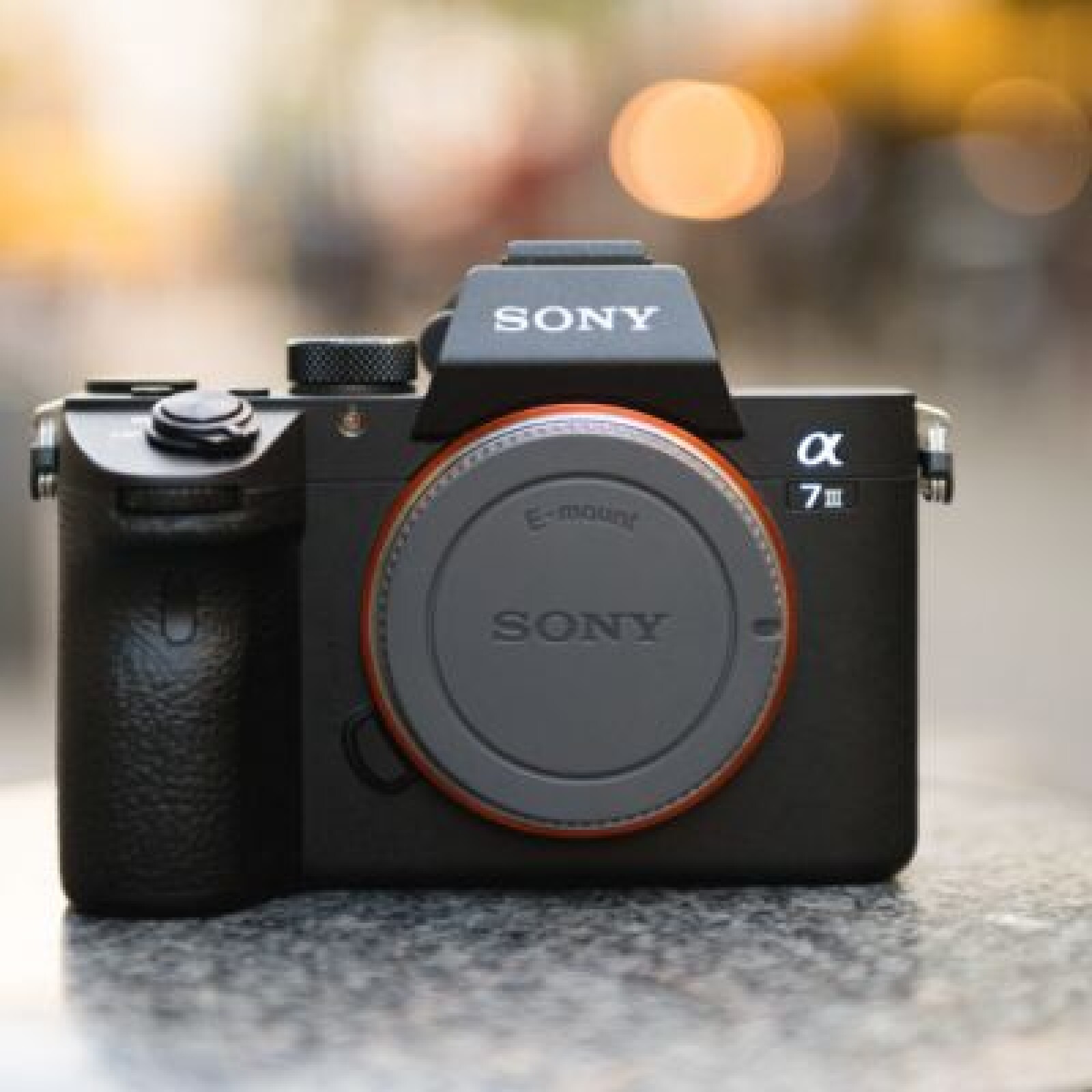 Sony A7III (Alpha 7 Mark 3) Boîtier + Bague MC-11 EF vers FE (Canon) - Photo 1 sur 3