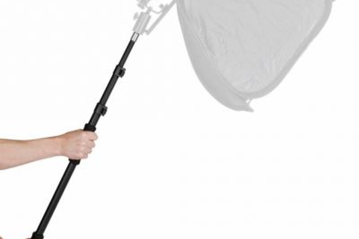Location PERCHE LUMIERE WALIMEX - Lightyshare